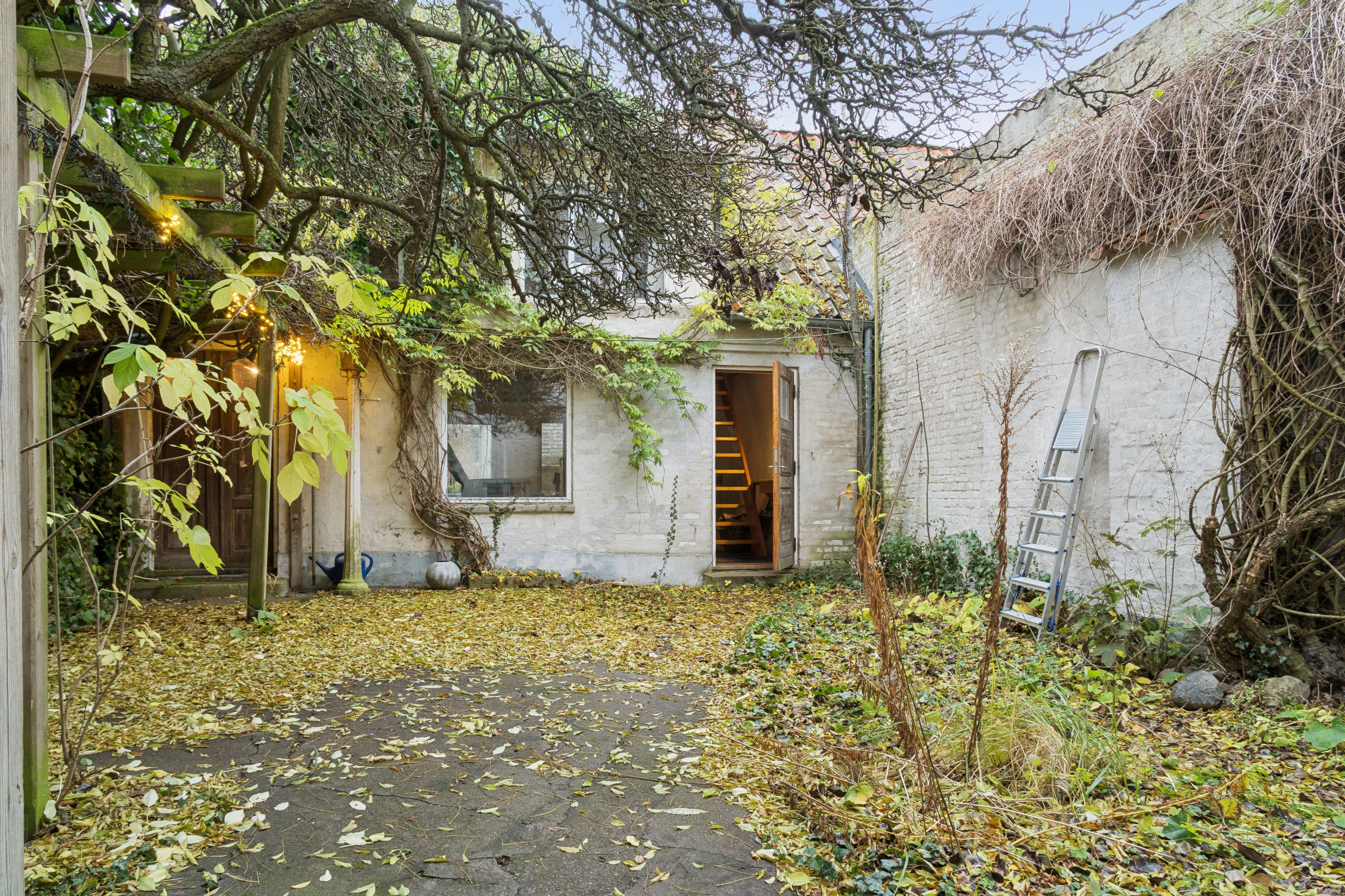 Fremhævet gårdhave billede i fuldskærmstilstand. Billede af Bredgade 9, 4000 Roskilde