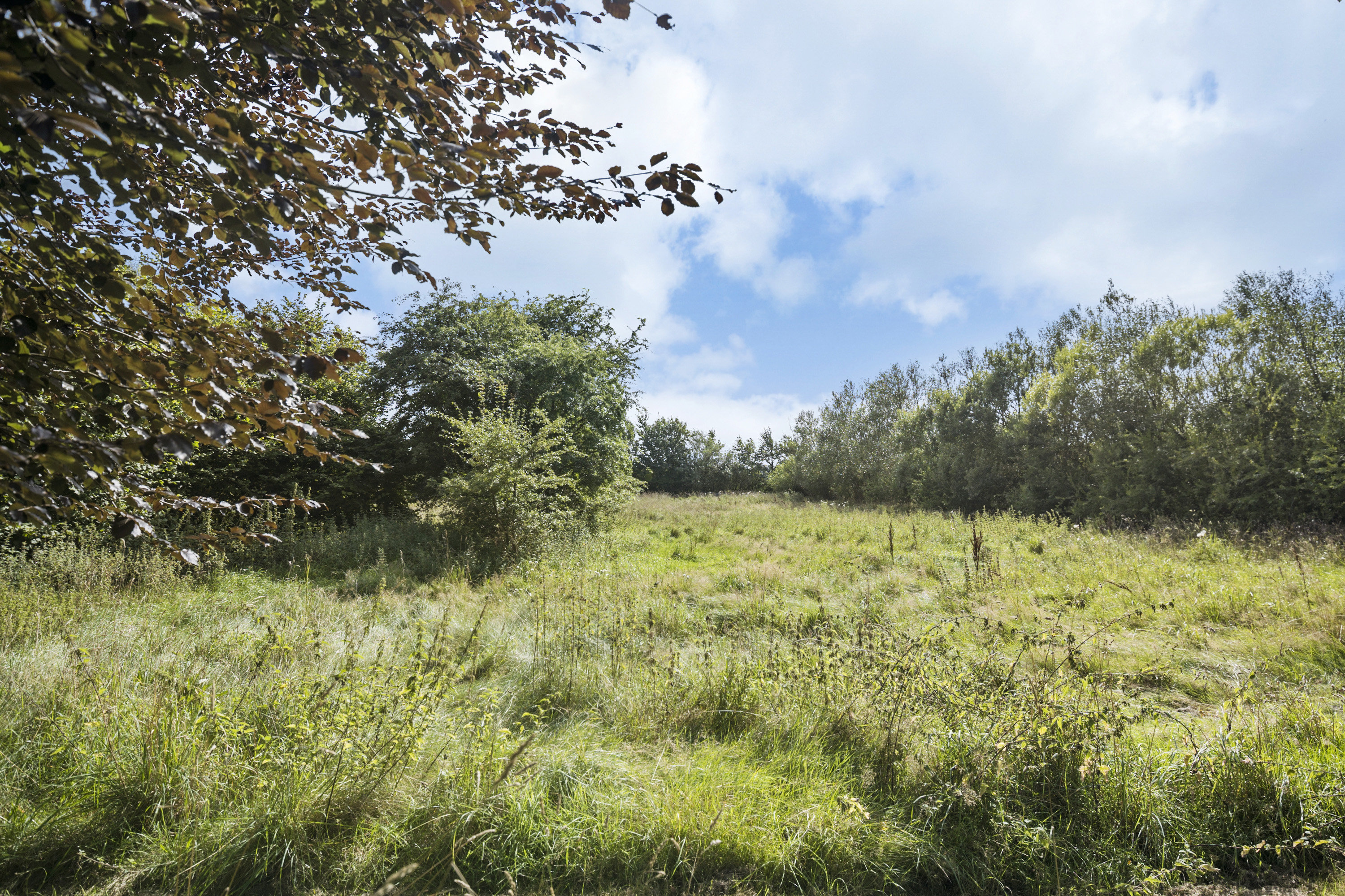 Fremhævet  billede i fuldskærmstilstand. Billede af Hornbækvej 22, Hornbæk, 9670 Løgstør