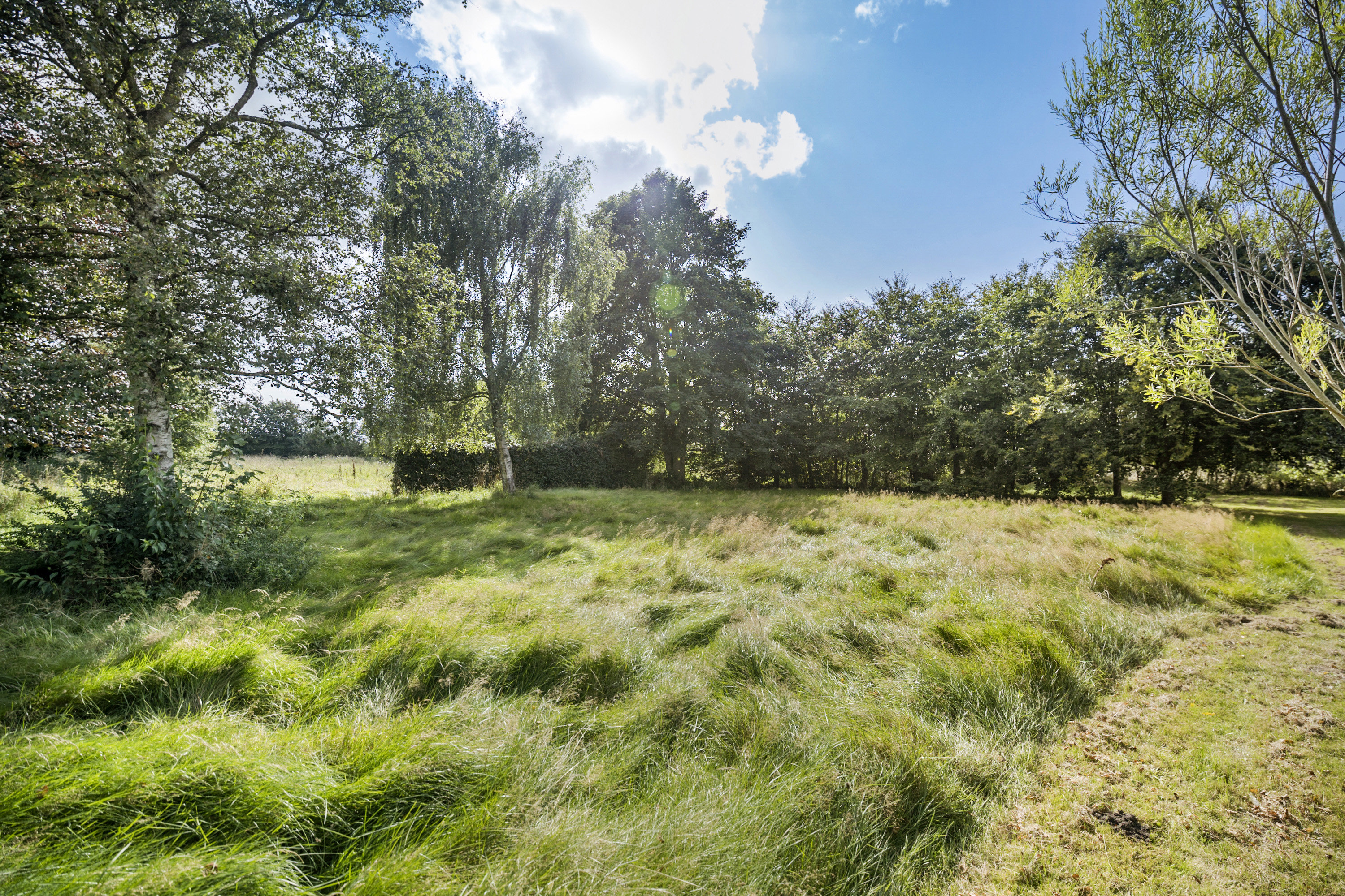 Fremhævet  billede i fuldskærmstilstand. Billede af Hornbækvej 22, Hornbæk, 9670 Løgstør