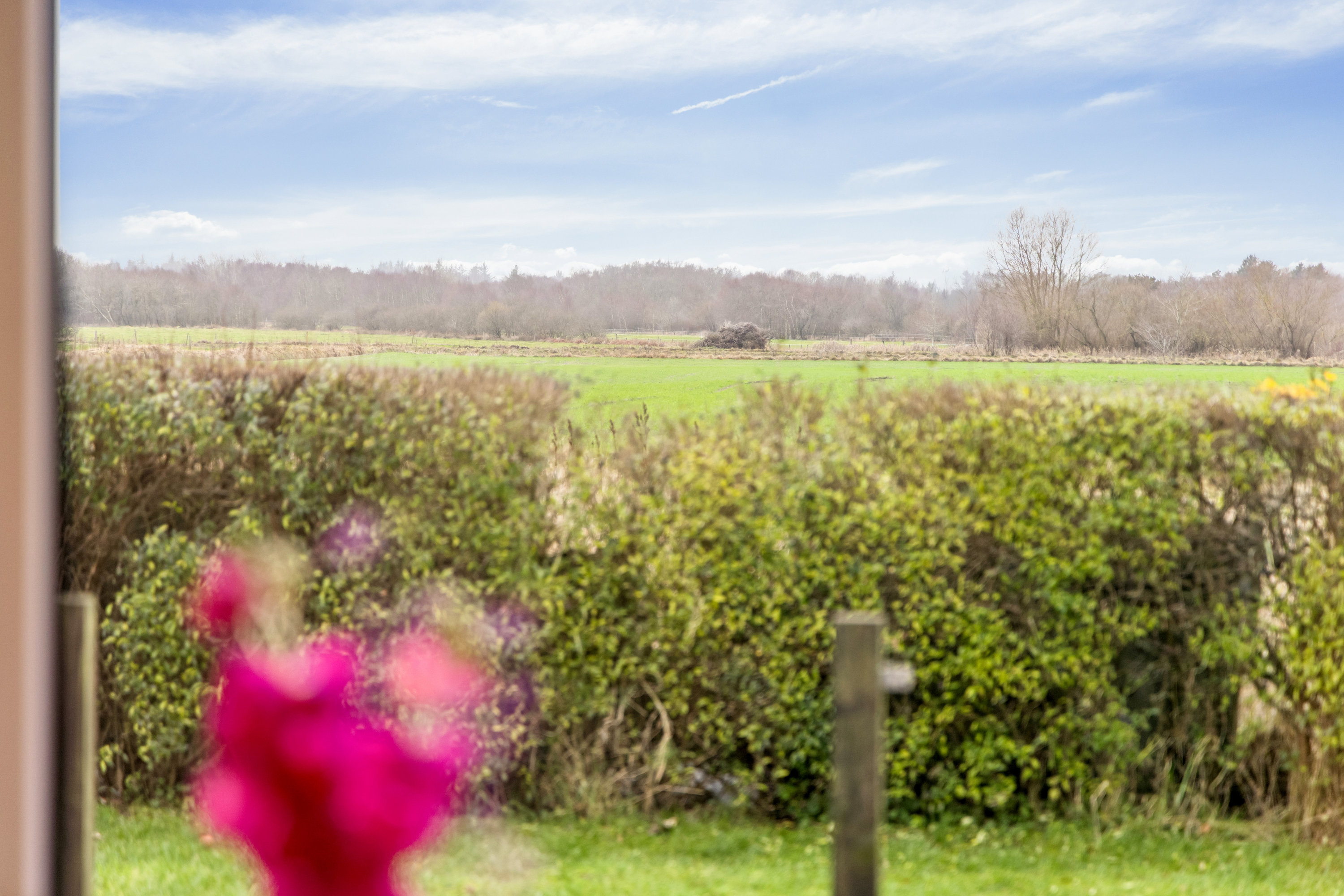 Fremhævet have billede i fuldskærmstilstand. Billede af Holmevej 13, Moseby, 9490 Pandrup