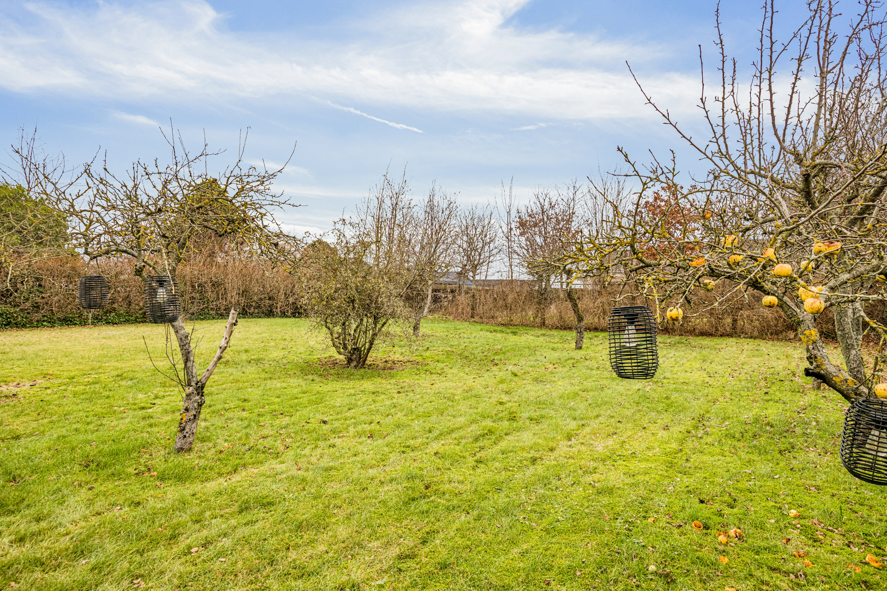 Fremhævet have billede i fuldskærmstilstand. Billede af Halsvej 217, Vester Hassing, 9310 Vodskov