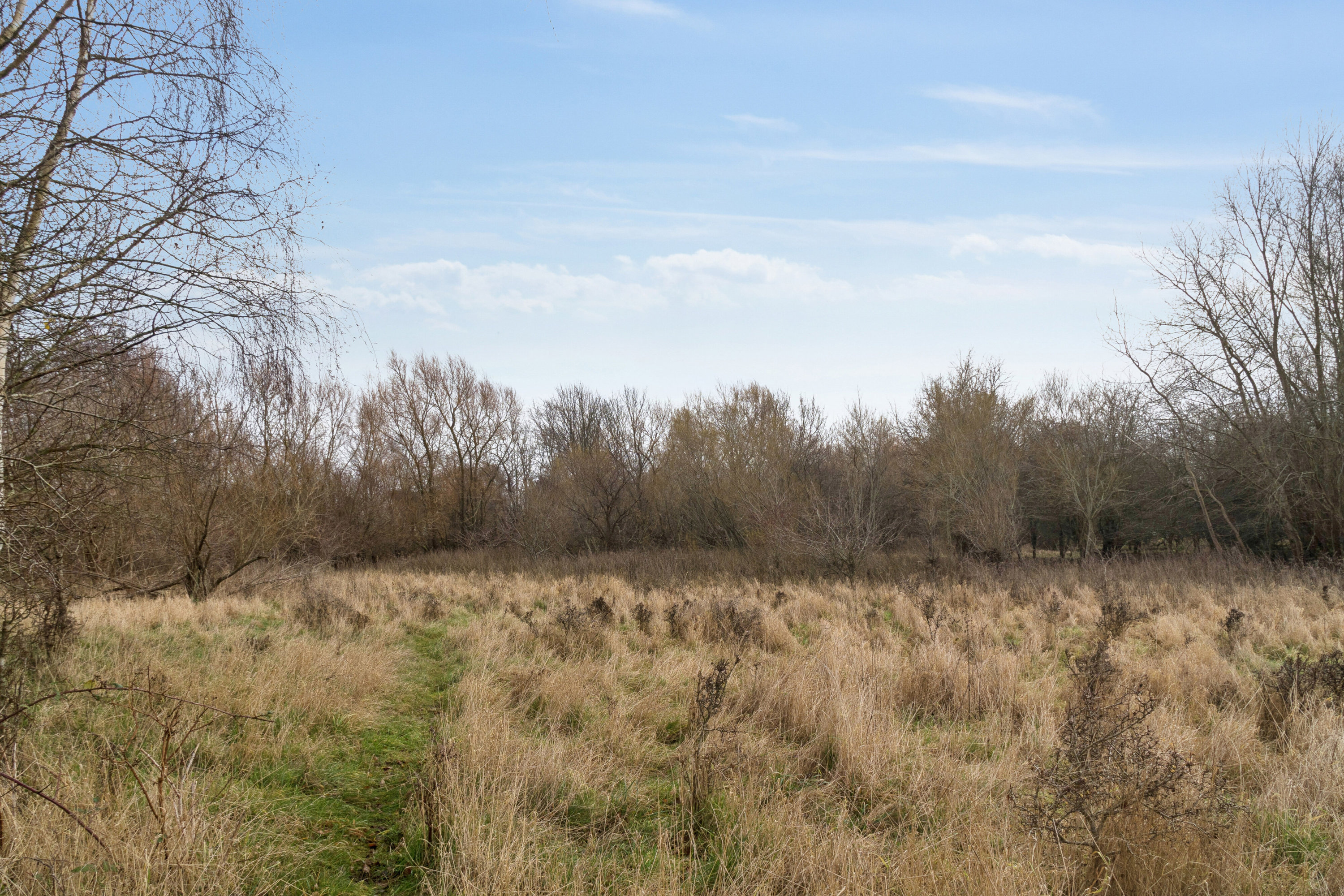 Fremhævet omgivelser billede i fuldskærmstilstand. Billede af Orehøjvej 33, Gevninge, 4000 Roskilde