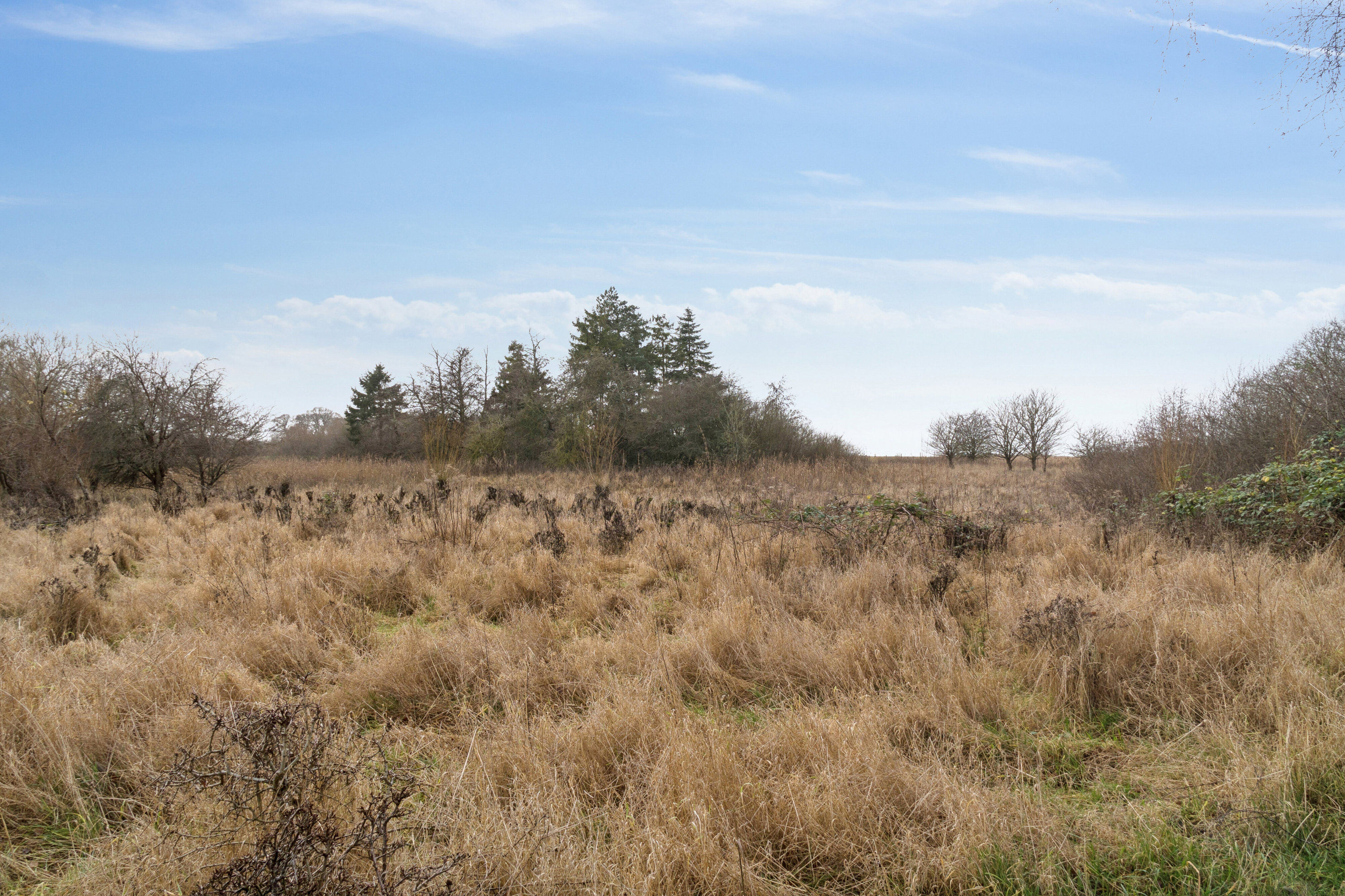 Miniaturebillede 1: omgivelser. Billede af Orehøjvej 33, Gevninge, 4000 Roskilde