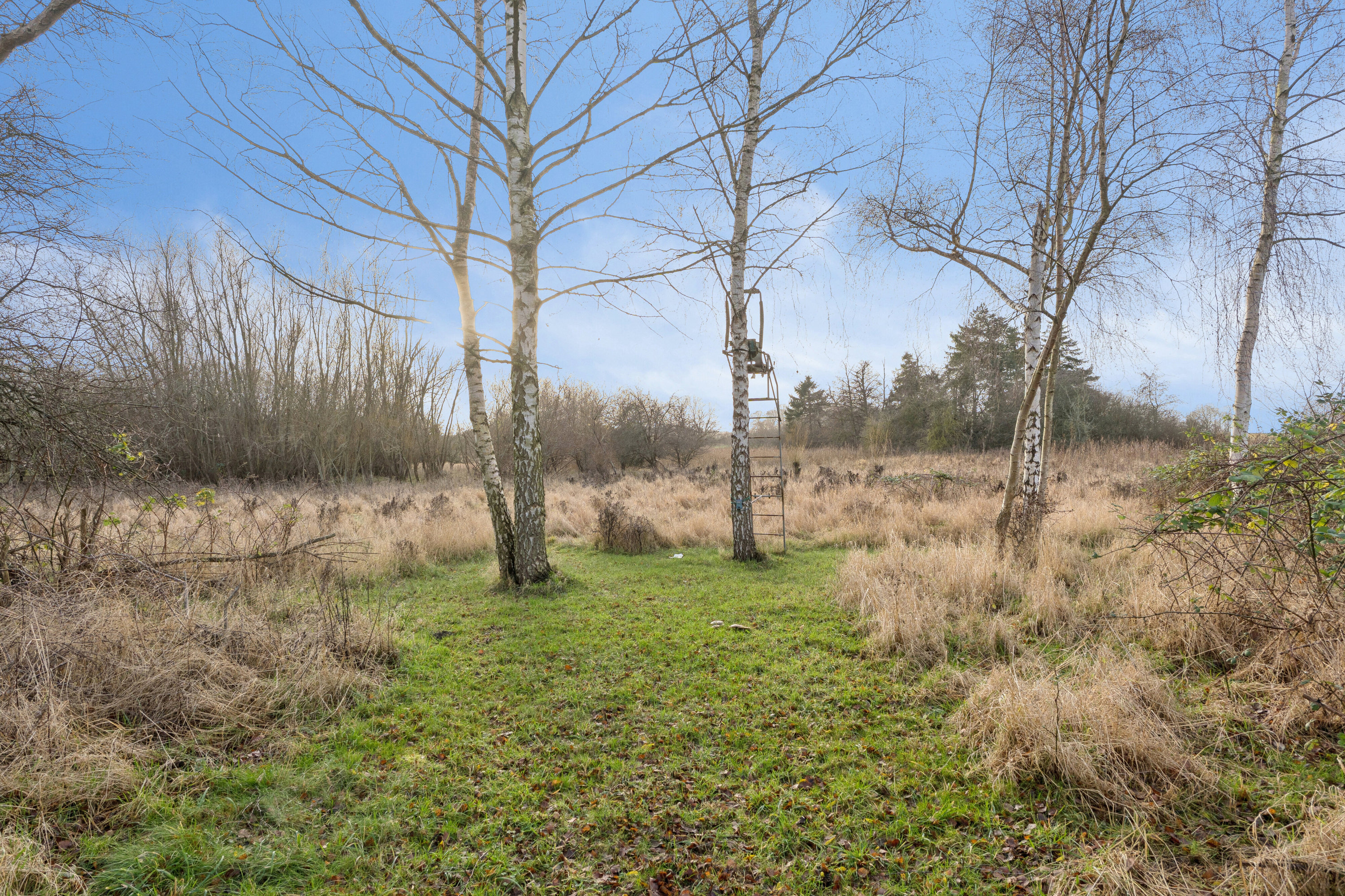 Fremhævet udendørs billede i fuldskærmstilstand. Billede af Orehøjvej 33, Gevninge, 4000 Roskilde