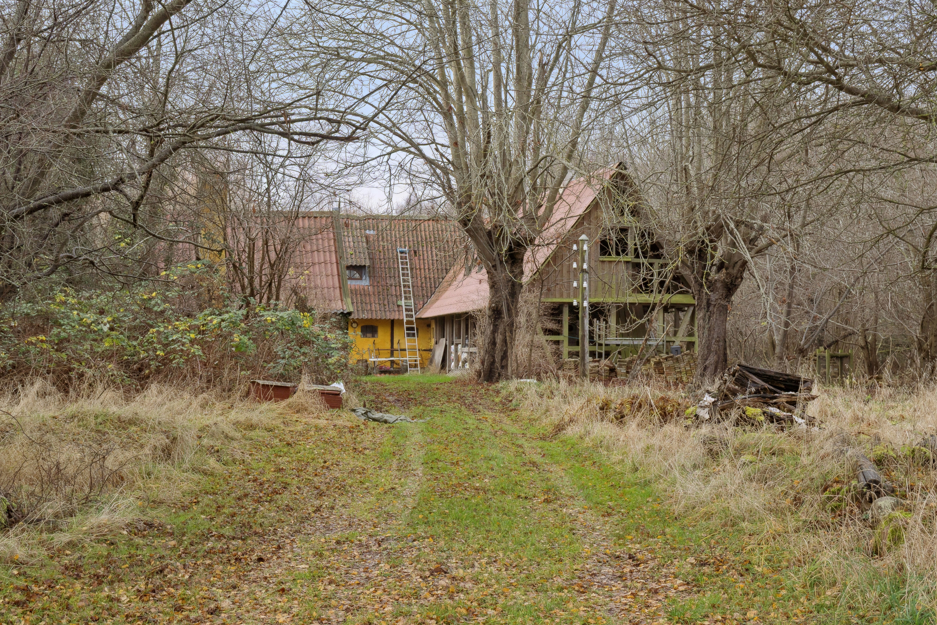 Miniaturebillede 2: udendørs. Billede af Orehøjvej 33, Gevninge, 4000 Roskilde