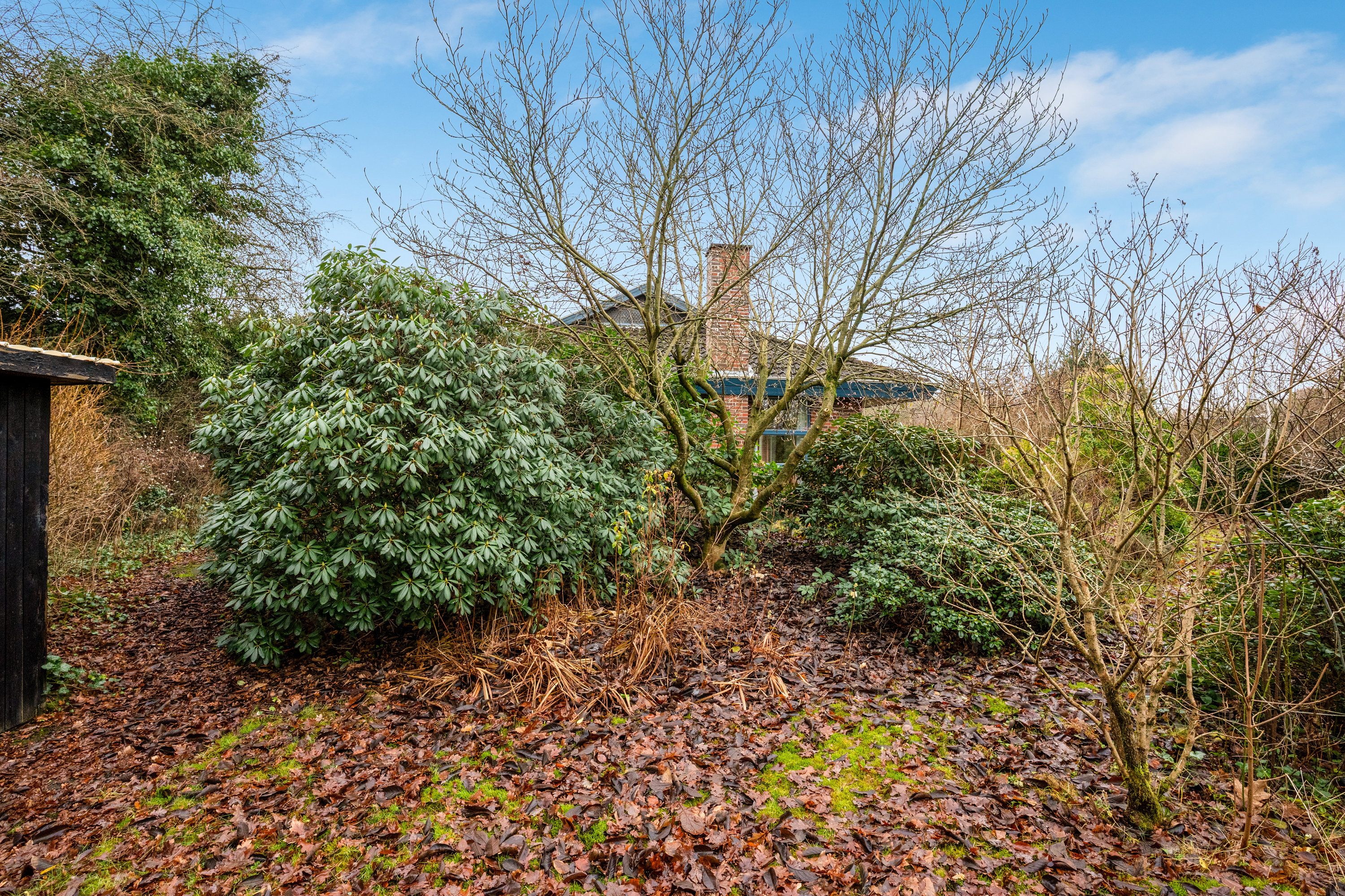 Fremhævet  billede i fuldskærmstilstand. Billede af Parkvej 30A, 7500 Holstebro