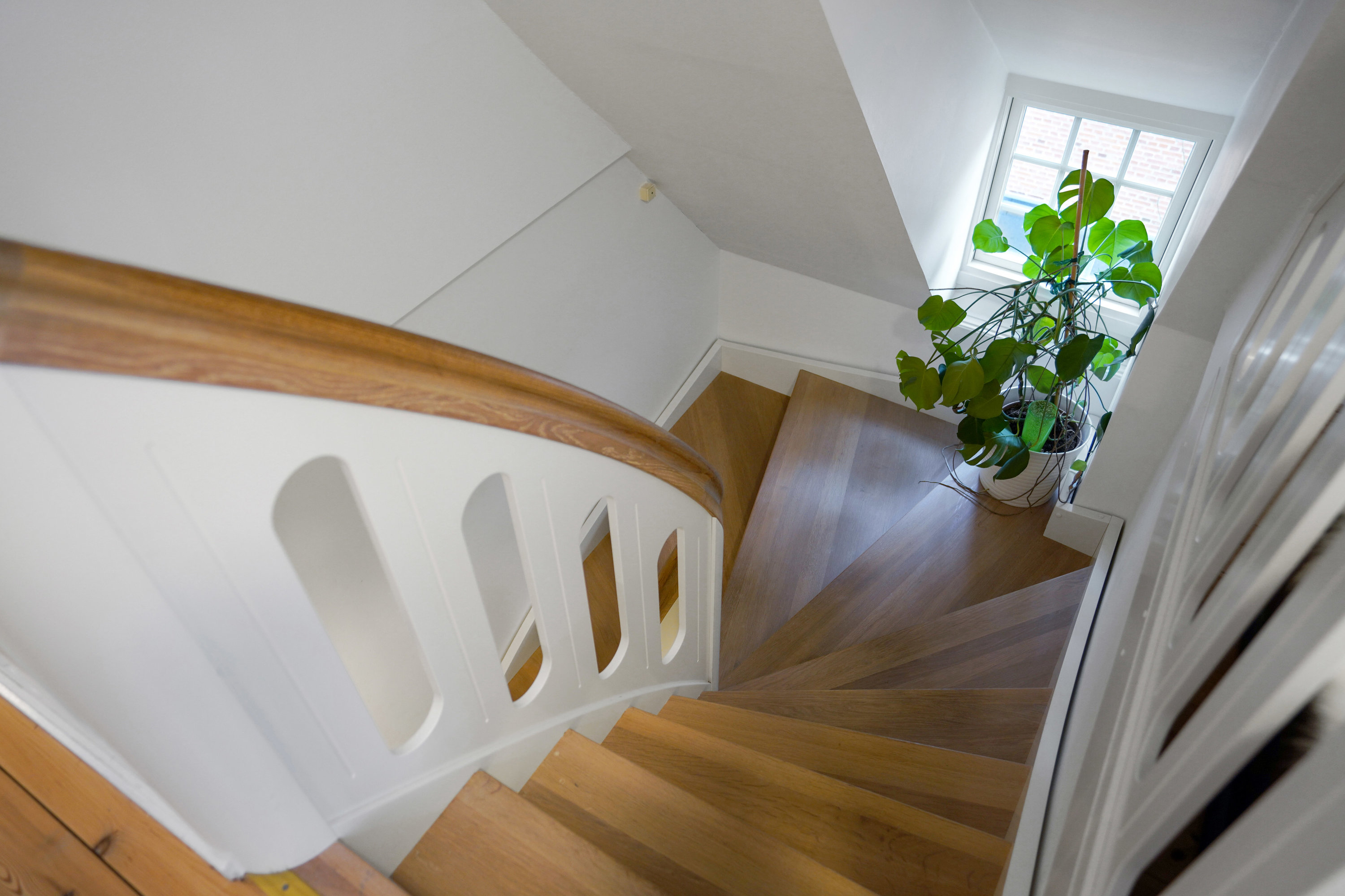 Fremhævet andet billede i fuldskærmstilstand. Billede af Kastanievej 55, 1., 5230 Odense M