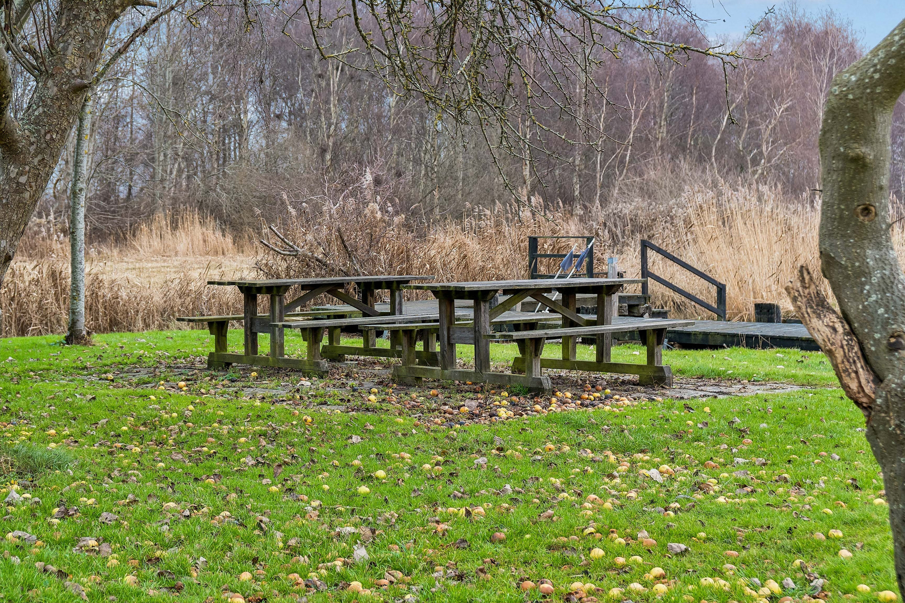 Fremhævet udendørs billede i fuldskærmstilstand. Billede af Tværdalen 12, 4040 Jyllinge