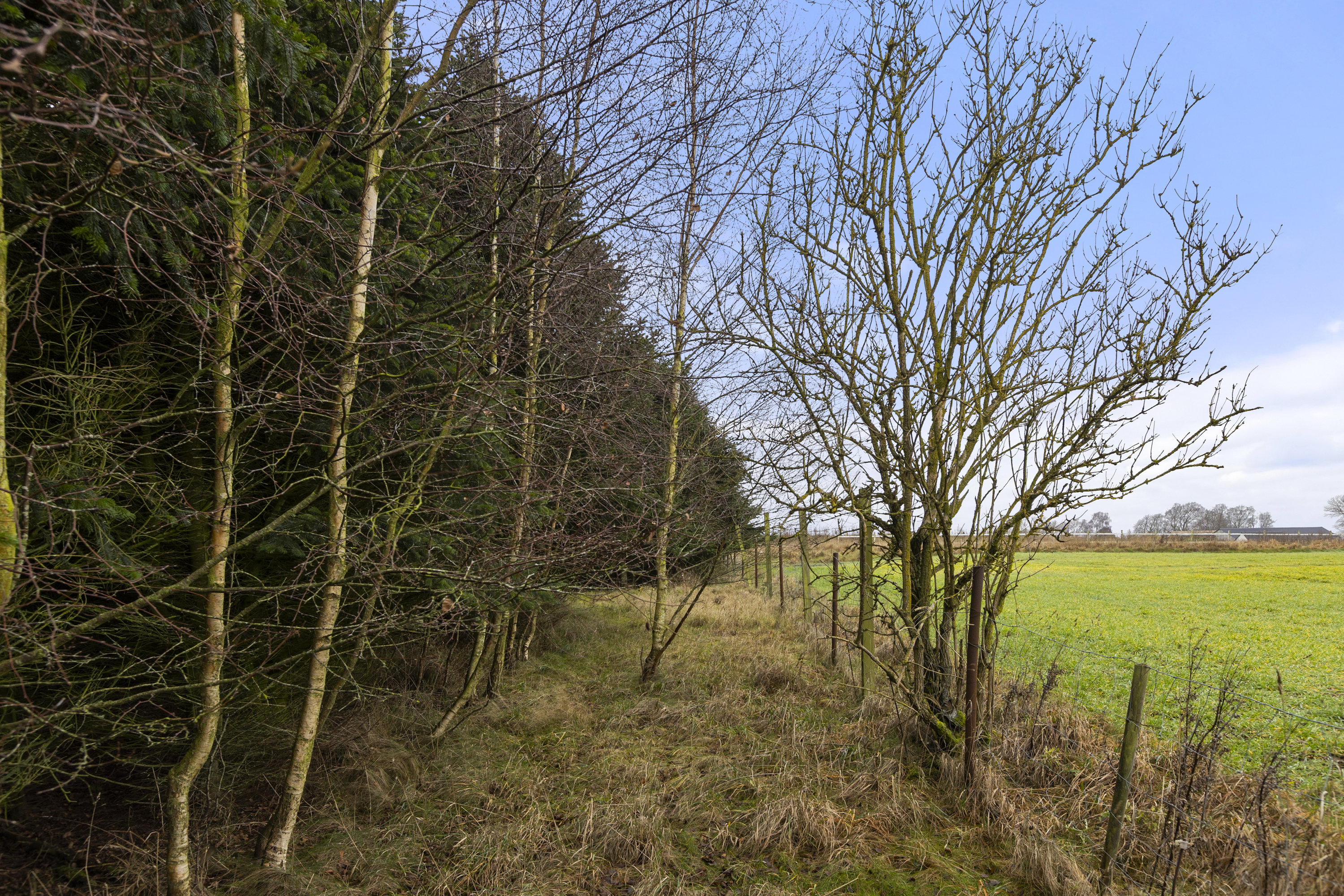 Fremhævet skov billede i fuldskærmstilstand. Billede af Sorøvej 29, 4295 Stenlille