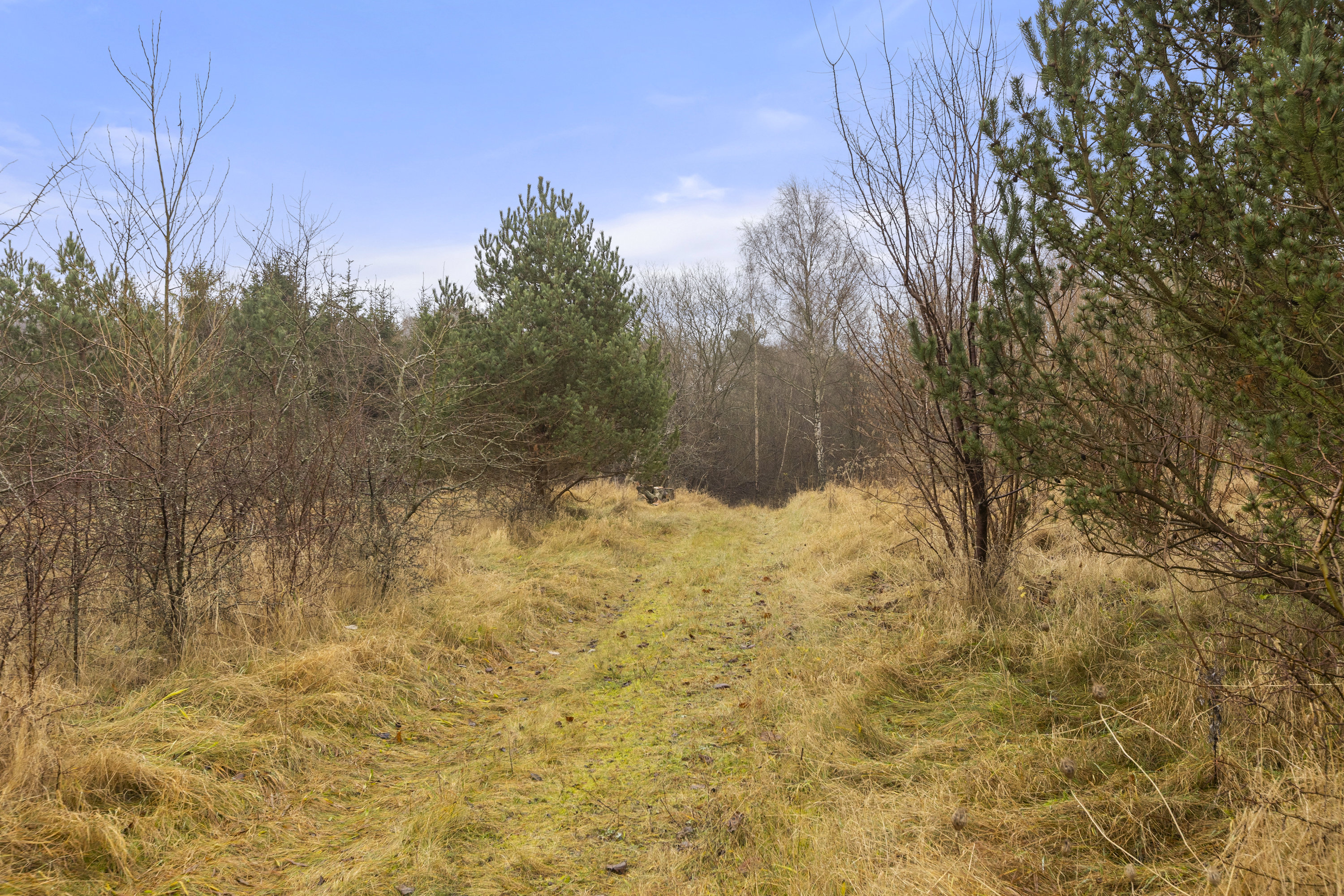 Fremhævet område billede i fuldskærmstilstand. Billede af Assentorpvej 97, 4295 Stenlille