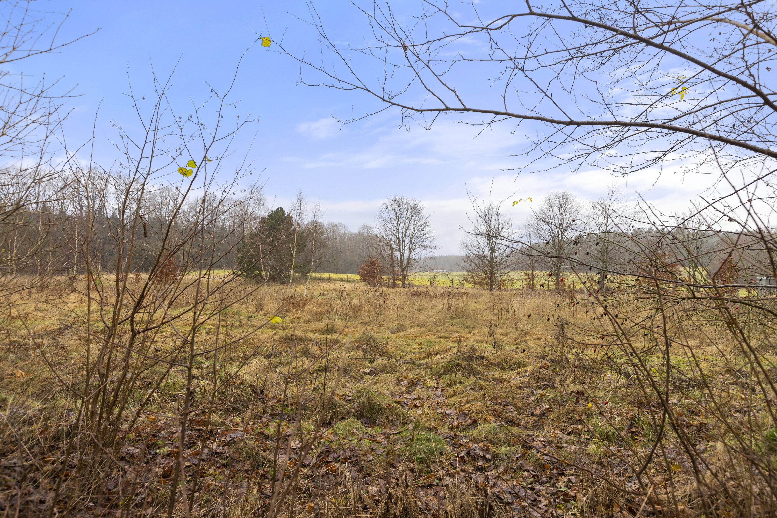 Fremhævet udsigt billede i fuldskærmstilstand. Billede af Assentorpvej 97, 4295 Stenlille