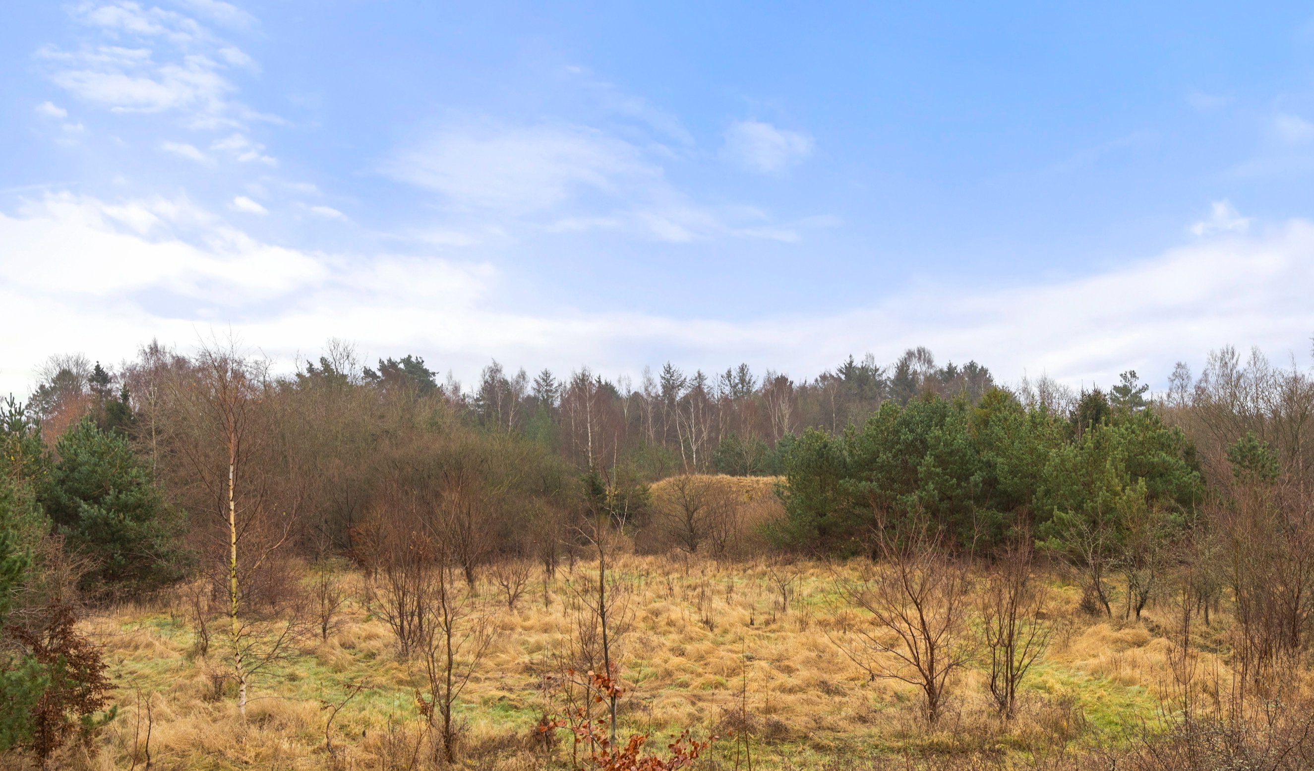 Fremhævet udsigt billede i fuldskærmstilstand. Billede af Assentorpvej 97, 4295 Stenlille