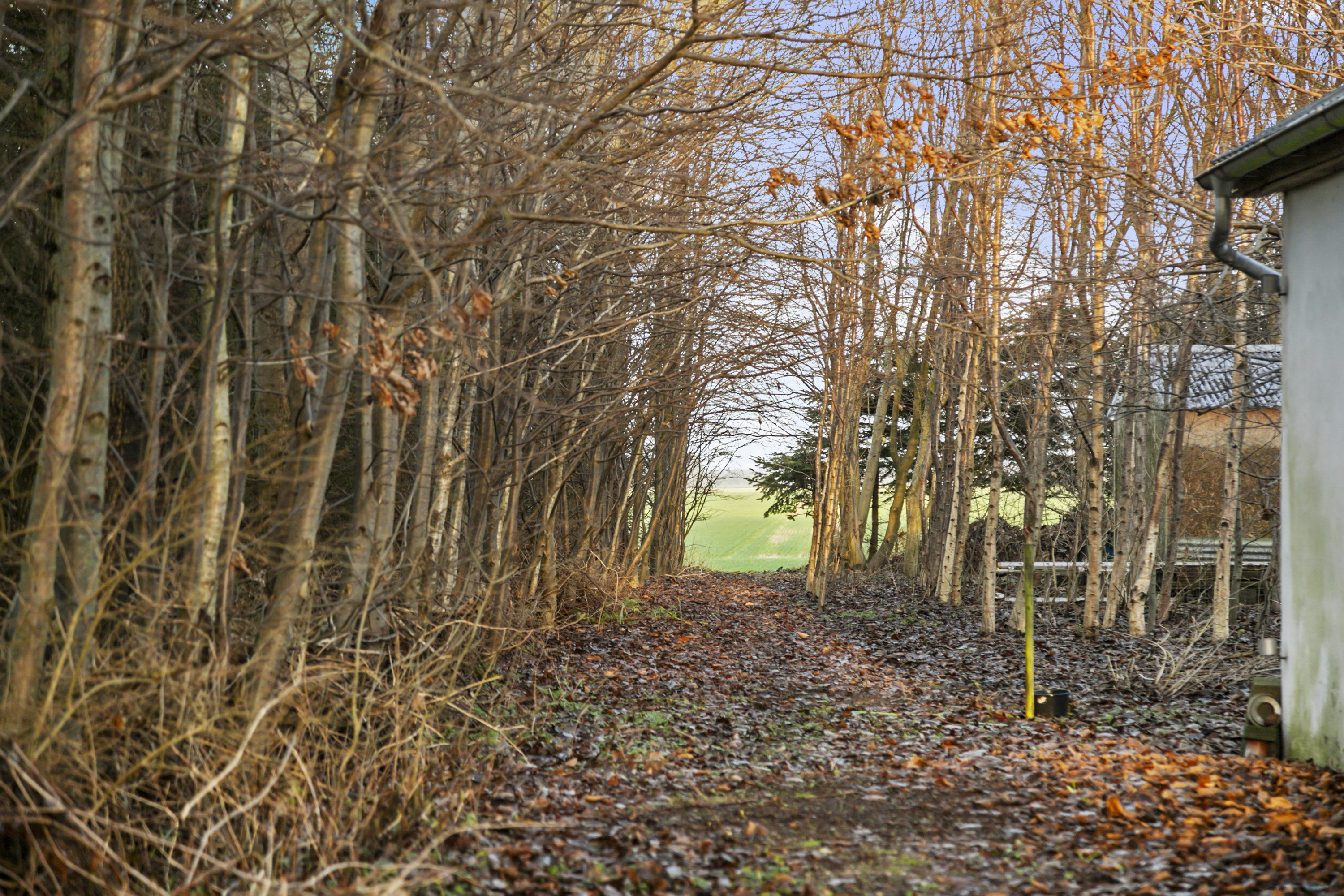 Fremhævet udsigt billede i fuldskærmstilstand. Billede af Smalskiftevej 44, 9382 Tylstrup