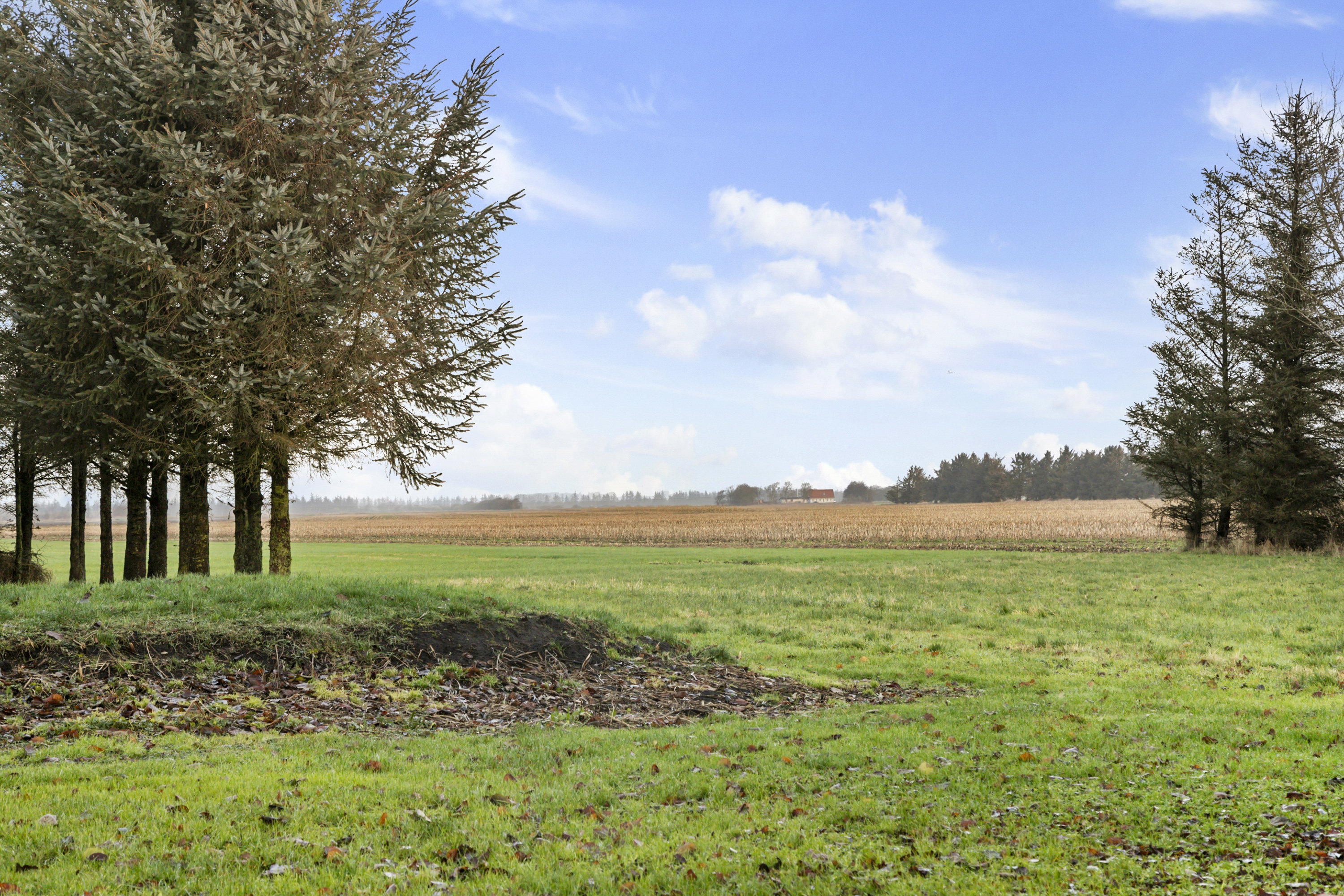 Fremhævet udsigt billede i fuldskærmstilstand. Billede af Smalskiftevej 44, 9382 Tylstrup