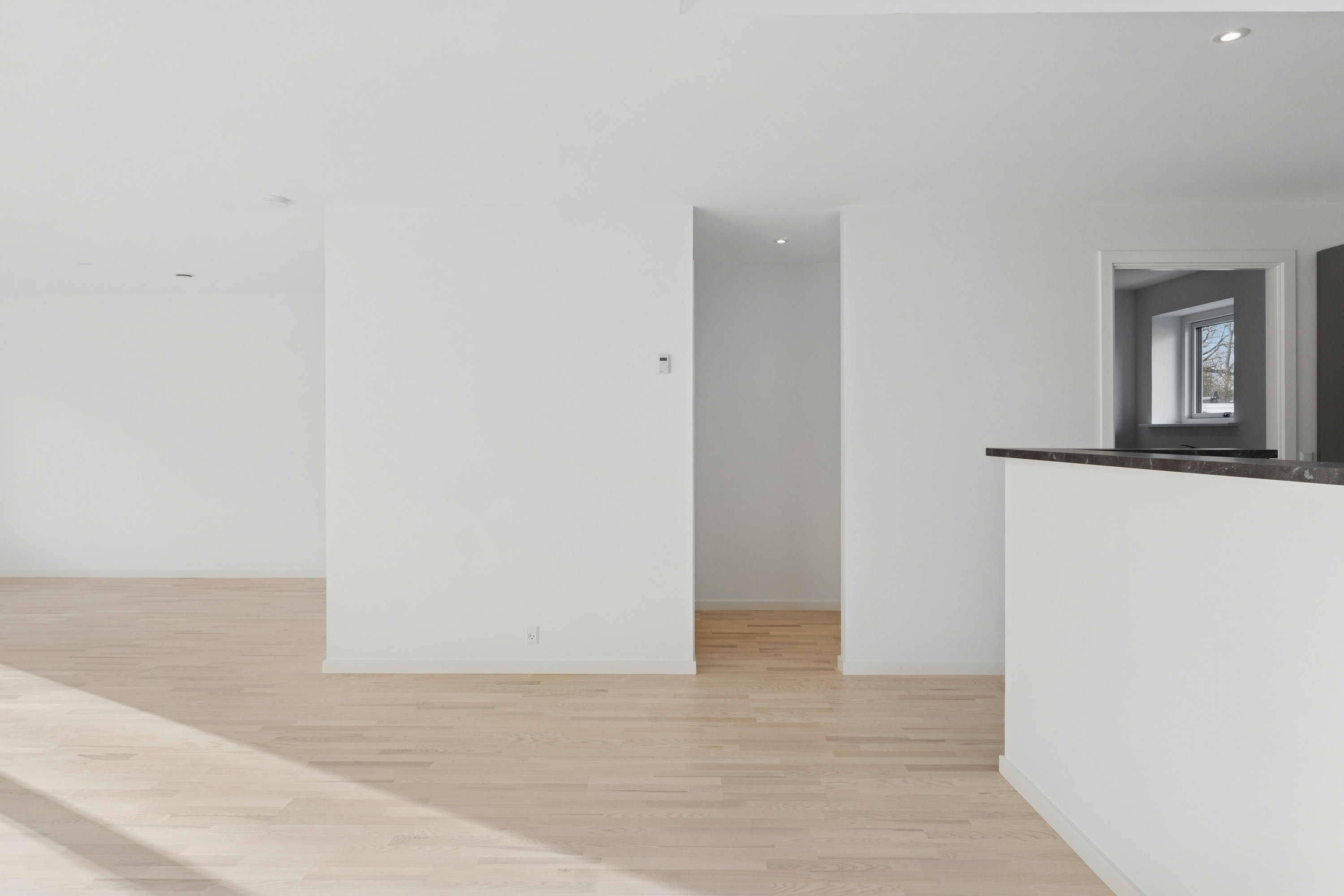 Fremhævet spisestue billede i fuldskærmstilstand. Billede af Troelstrup Bygade 2F, 4690 Haslev