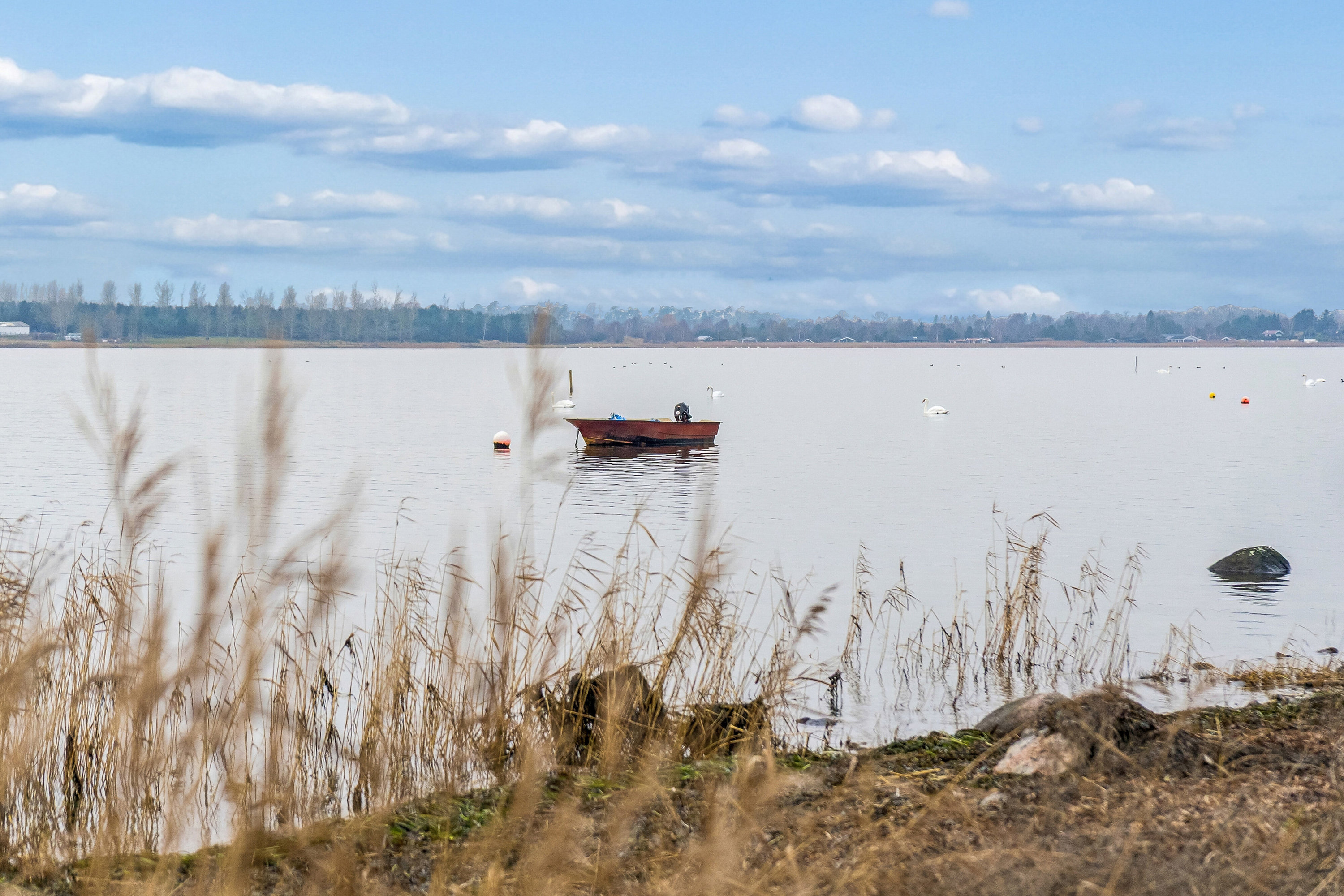 Fremhævet omgivelser billede i fuldskærmstilstand. Billede af Hagenæs 31, 4040 Jyllinge