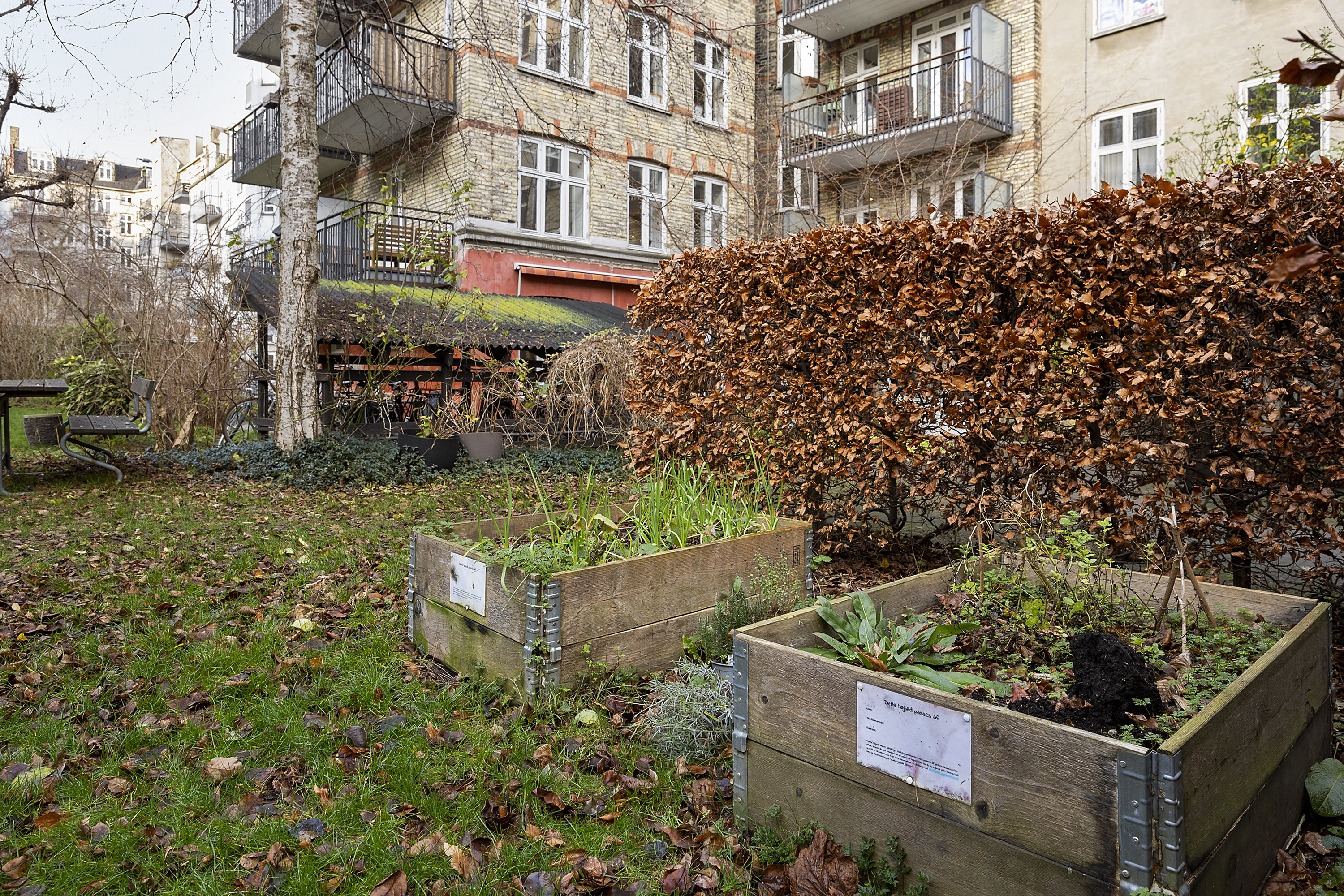 Fremhævet gårdmiljø billede i fuldskærmstilstand. Billede af Egegade 10, 5. th., 2200 København N