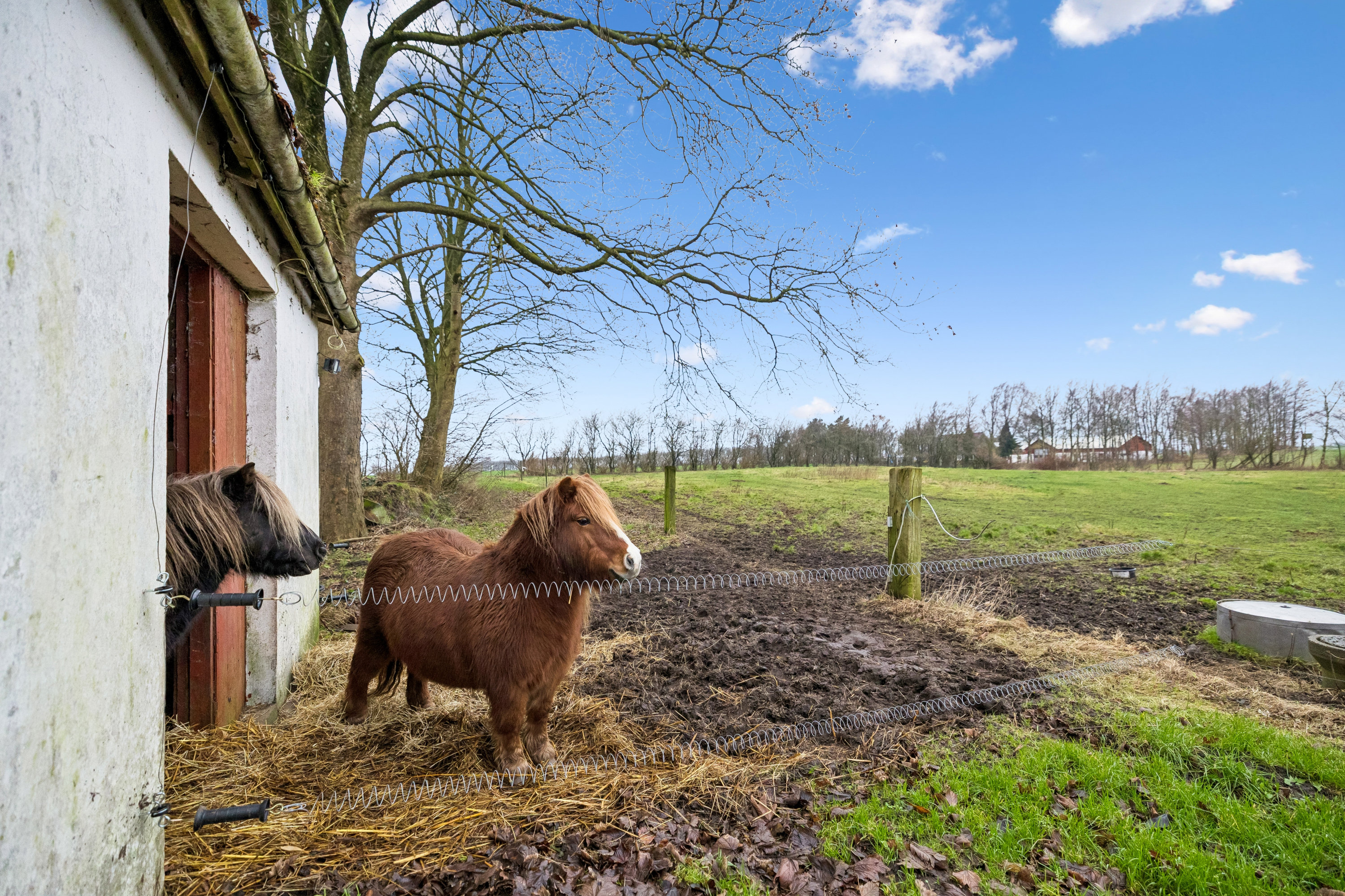 Fremhævet ejendom billede i fuldskærmstilstand. Billede af Ll Gandrupgårdsvej 4, Gandrup, 9510 Arden