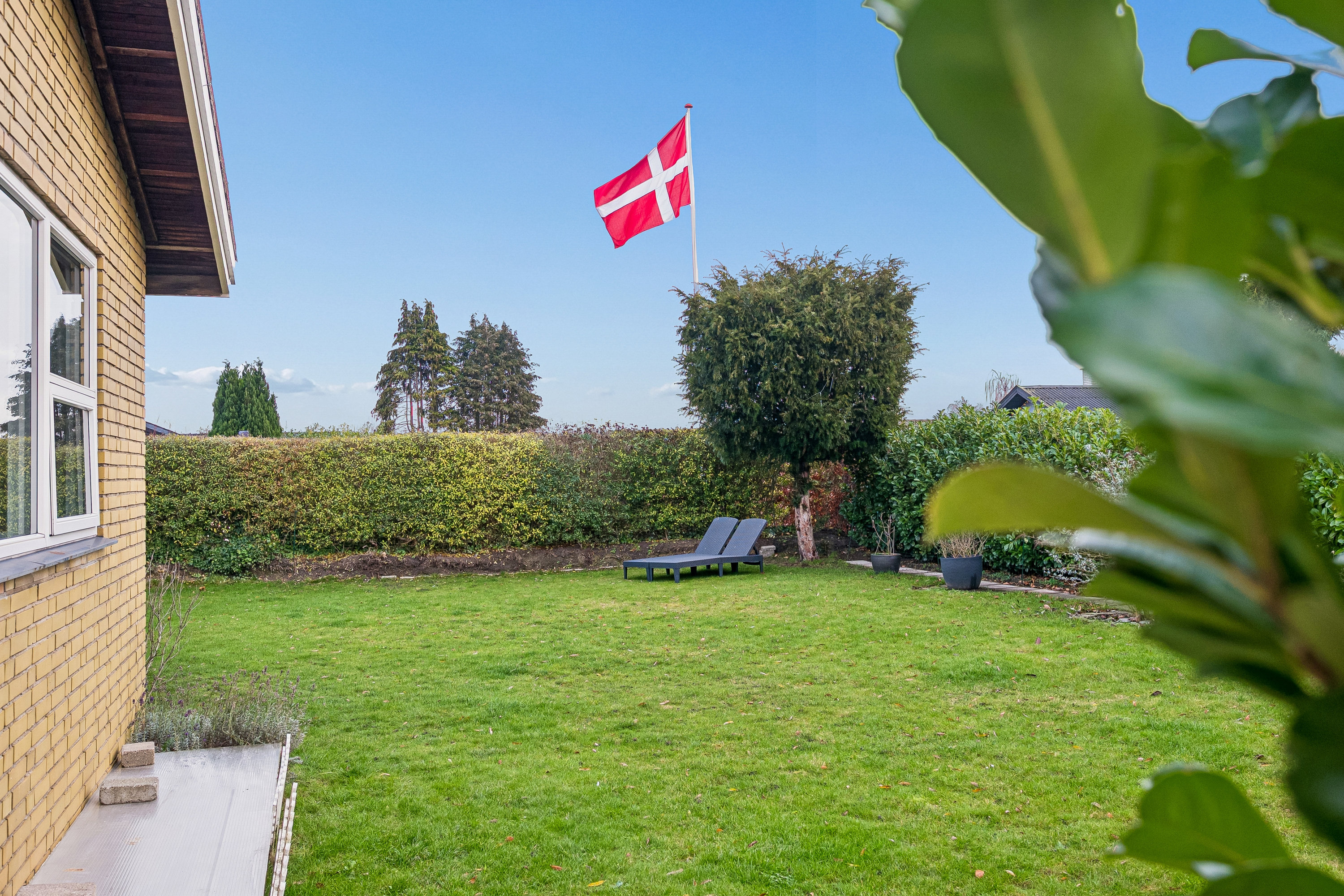 Fremhævet  billede i fuldskærmstilstand. Billede af Starup Alle 28, 2770 Kastrup