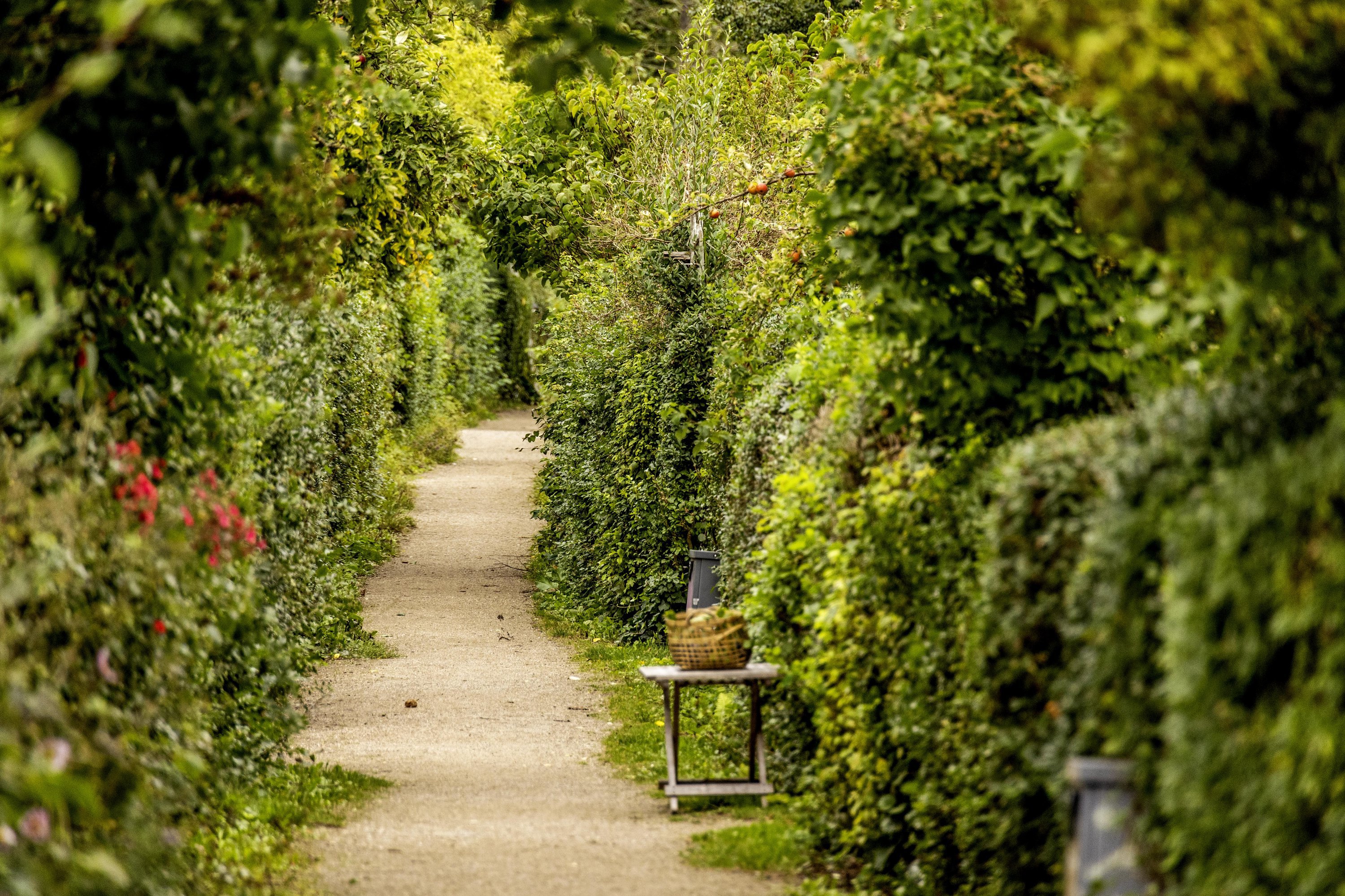 Fremhævet  billede i fuldskærmstilstand. Billede af Hf. Grænsen 2, 2000 Frederiksberg