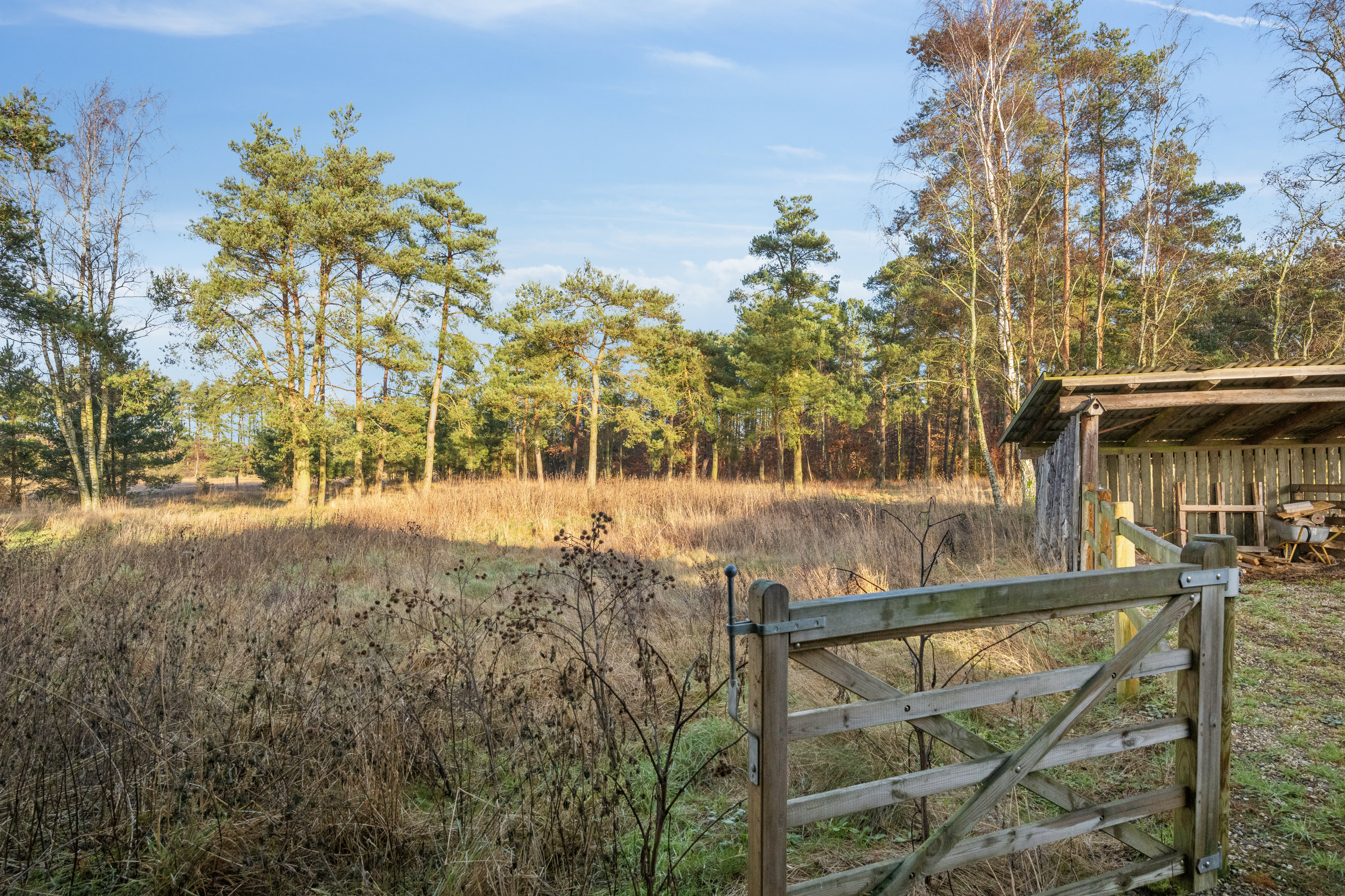 Fremhævet  billede i fuldskærmstilstand. Billede af Hevring Møllevej 28, Hevring, 8950 Ørsted
