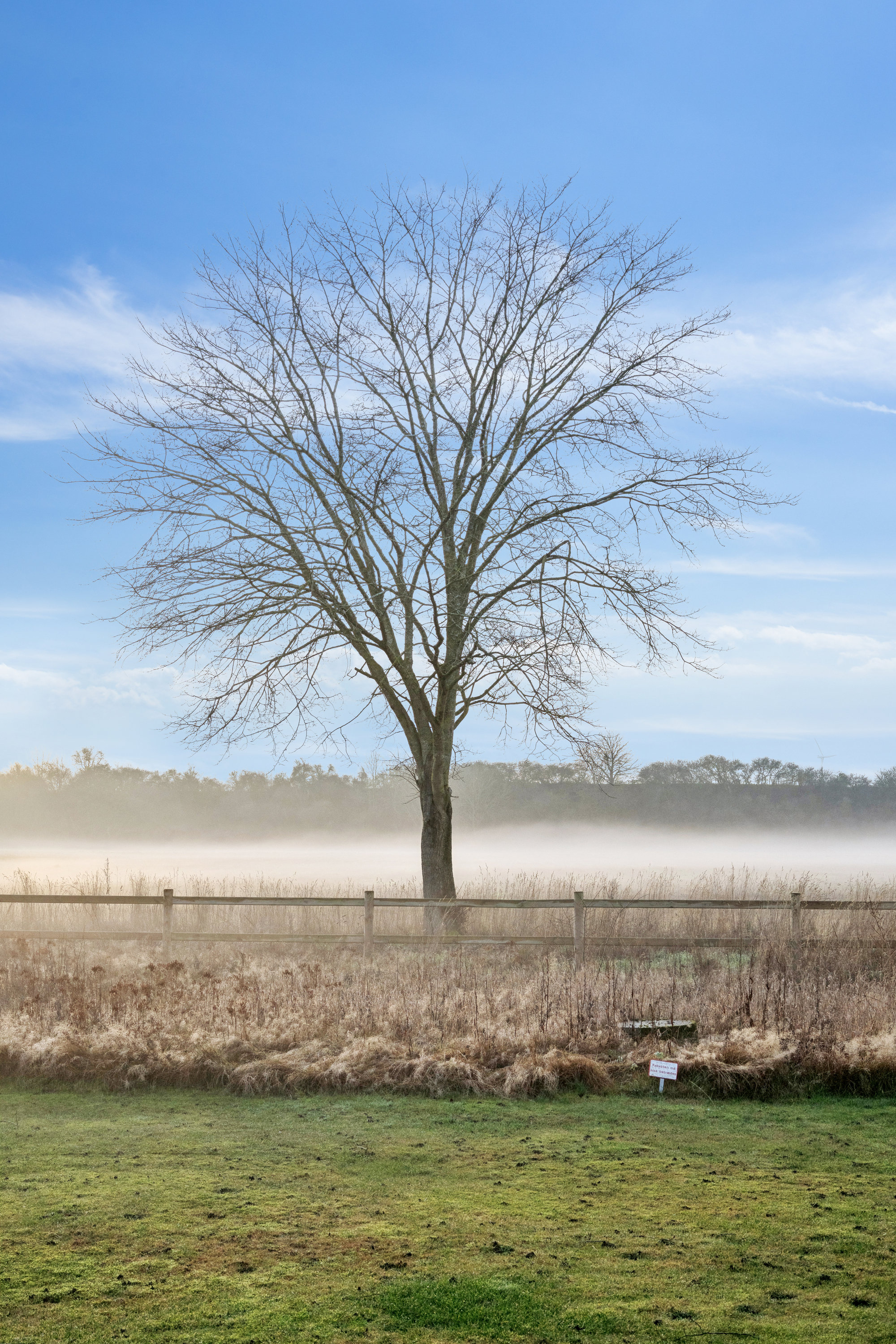 Fremhævet  billede i fuldskærmstilstand. Billede af Hevring Møllevej 28, Hevring, 8950 Ørsted