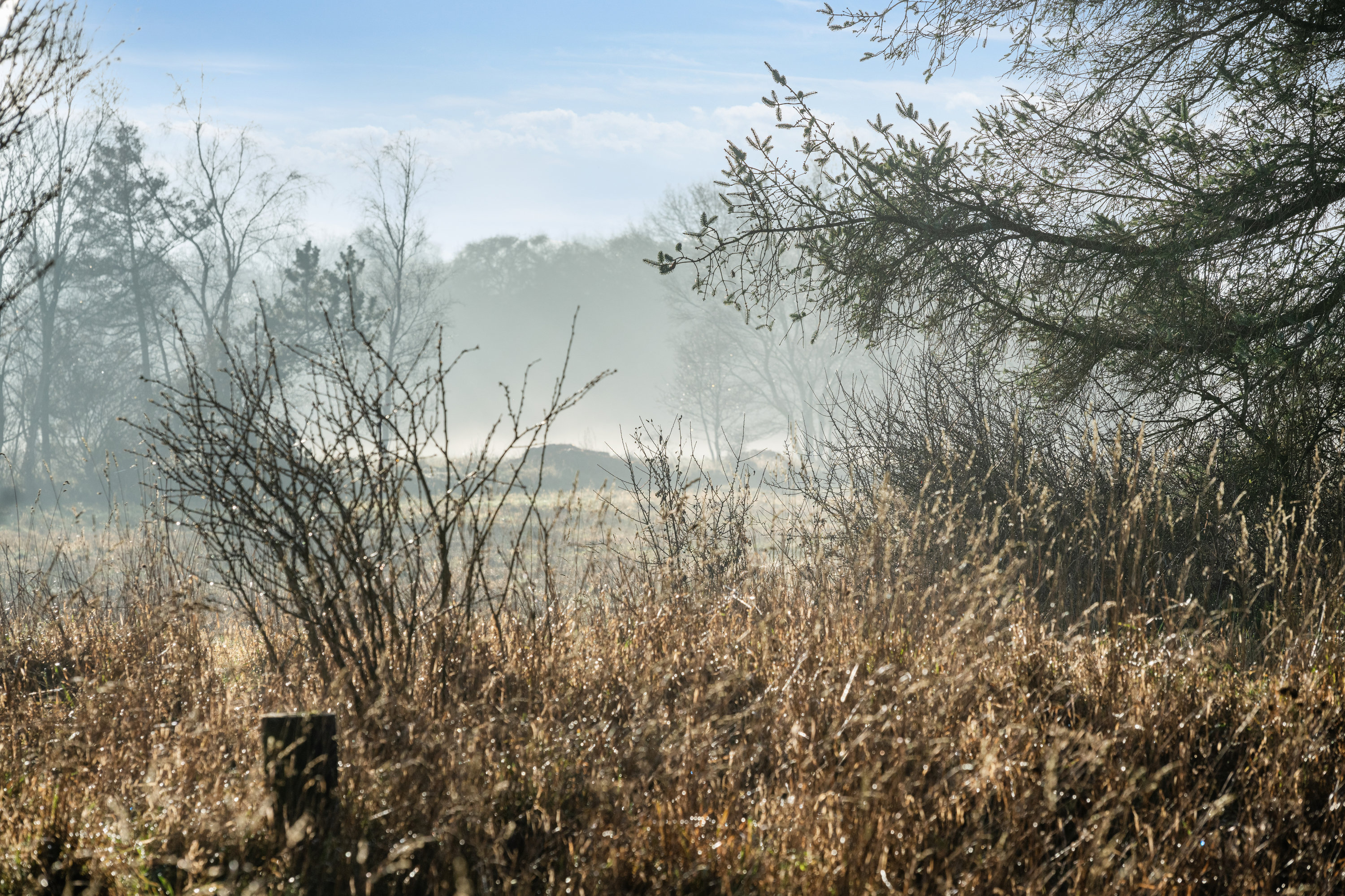 Fremhævet  billede i fuldskærmstilstand. Billede af Hevring Møllevej 28, Hevring, 8950 Ørsted