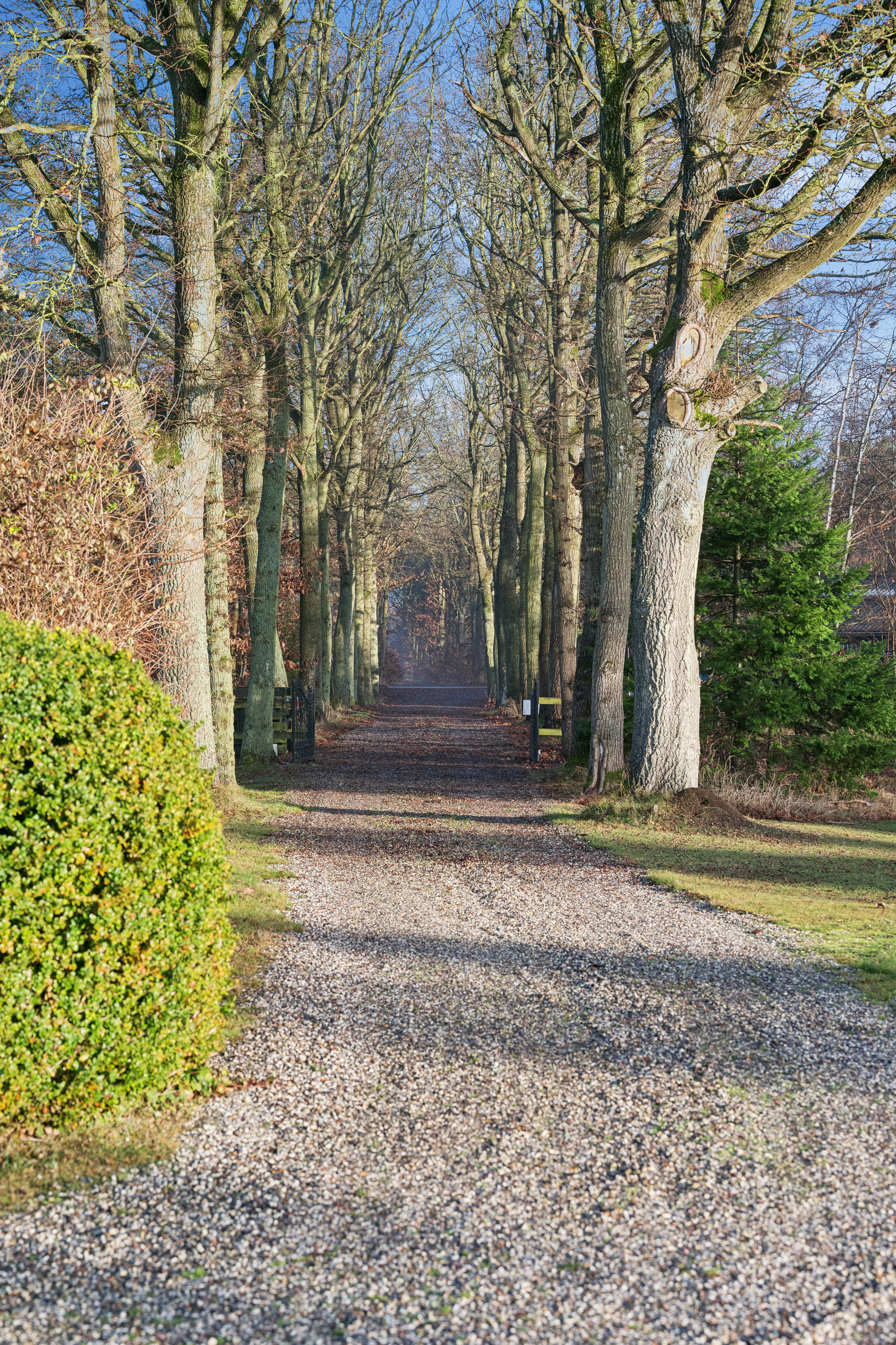 Fremhævet  billede i fuldskærmstilstand. Billede af Hevring Møllevej 28, Hevring, 8950 Ørsted