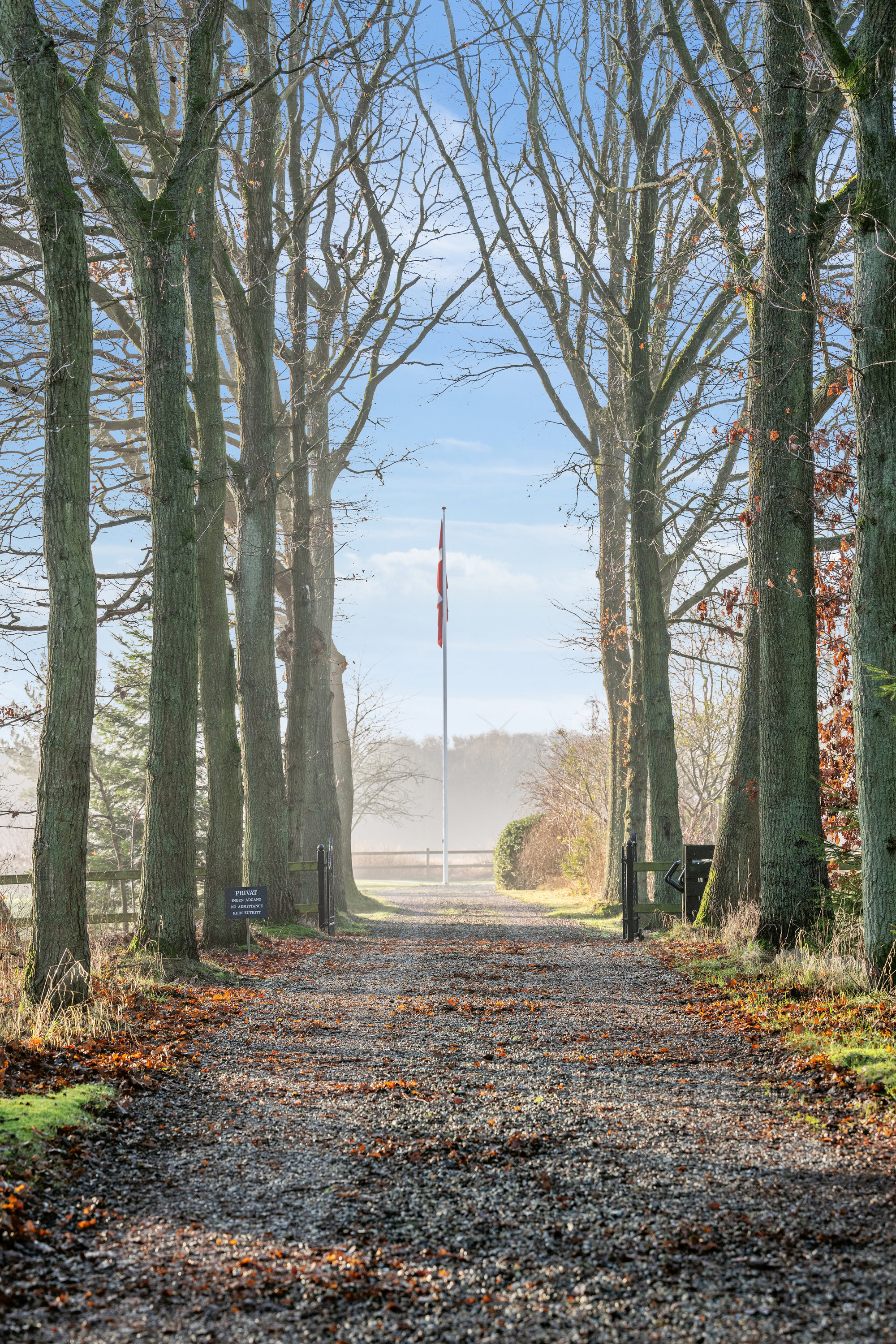 Fremhævet  billede i fuldskærmstilstand. Billede af Hevring Møllevej 28, Hevring, 8950 Ørsted