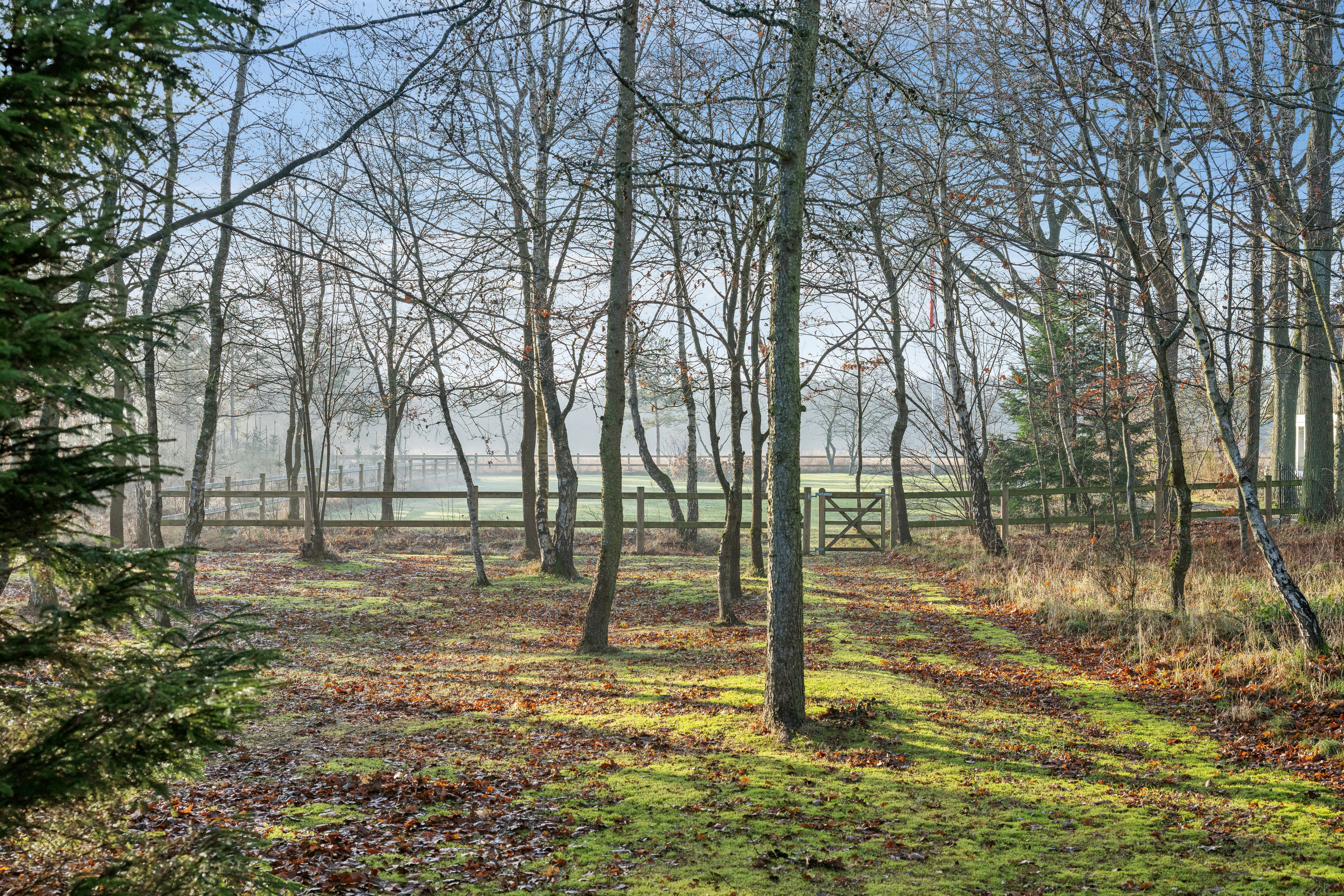 Fremhævet  billede i fuldskærmstilstand. Billede af Hevring Møllevej 28, Hevring, 8950 Ørsted