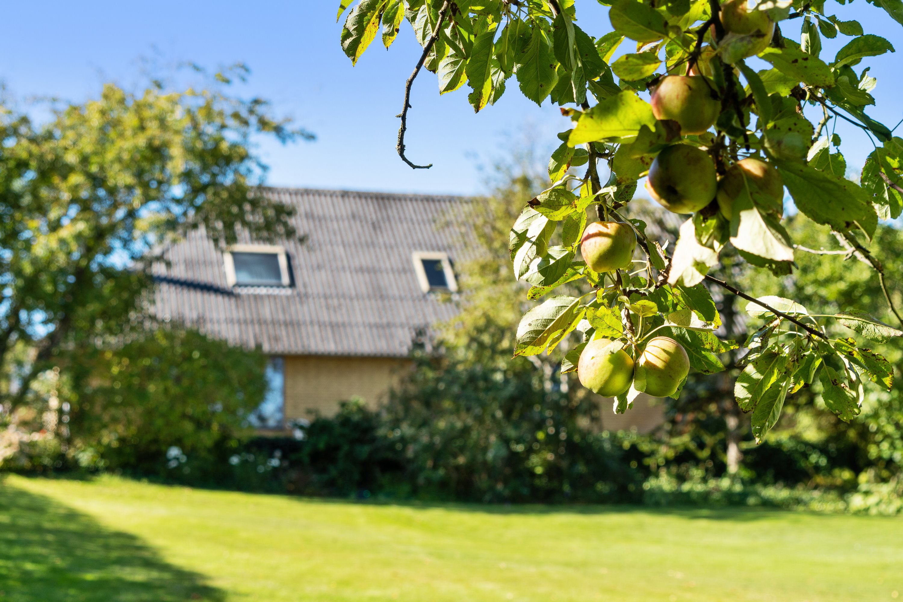Fremhævet  billede i fuldskærmstilstand. Billede af Klostervej 20, Sevel, 7830 Vinderup