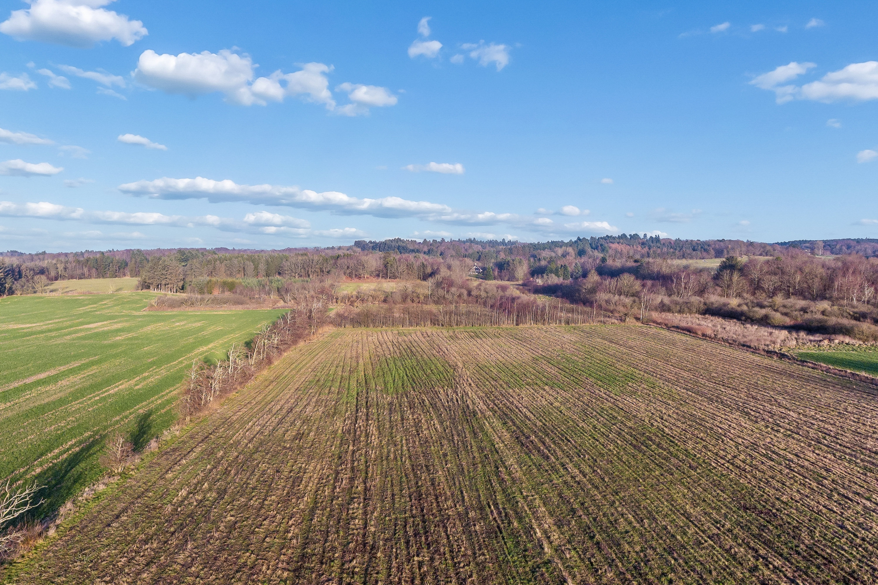 Fremhævet marken billede i fuldskærmstilstand. Billede af Vestbjerg Kærvej 13, 9380 Vestbjerg