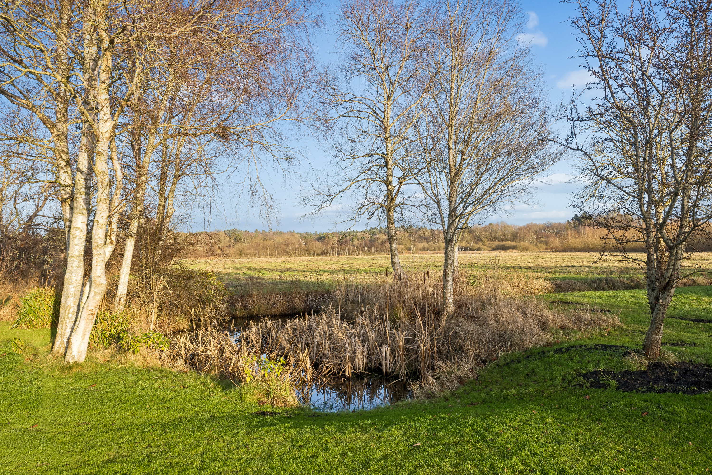 Fremhævet have billede i fuldskærmstilstand. Billede af Vestbjerg Kærvej 13, 9380 Vestbjerg
