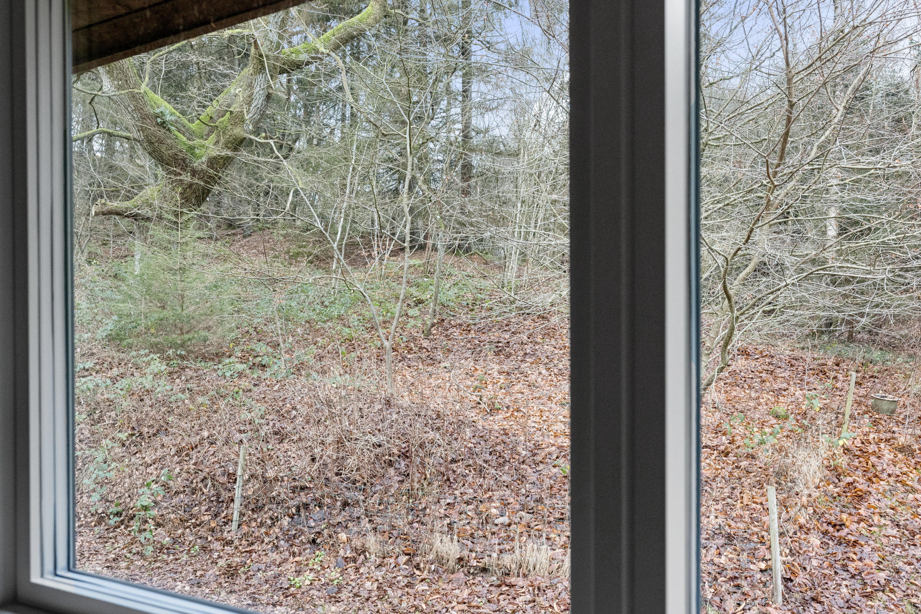 Fremhævet køkken billede i fuldskærmstilstand. Billede af Pederstrupvej 19, Pederstrup, 8830 Tjele