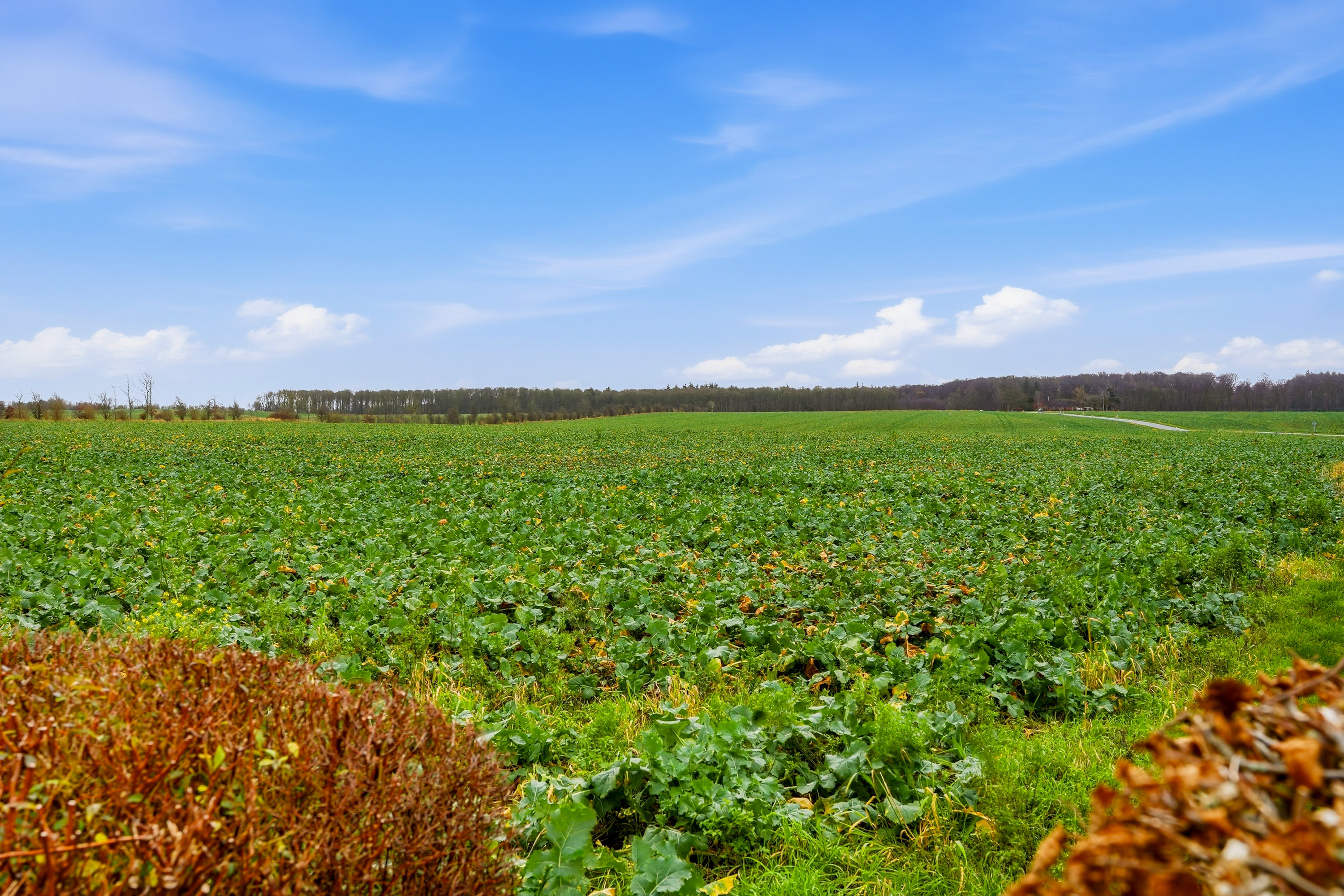 Fremhævet udsigt billede i fuldskærmstilstand. Billede af Skolebakken 6, Roerslev, 5450 Otterup