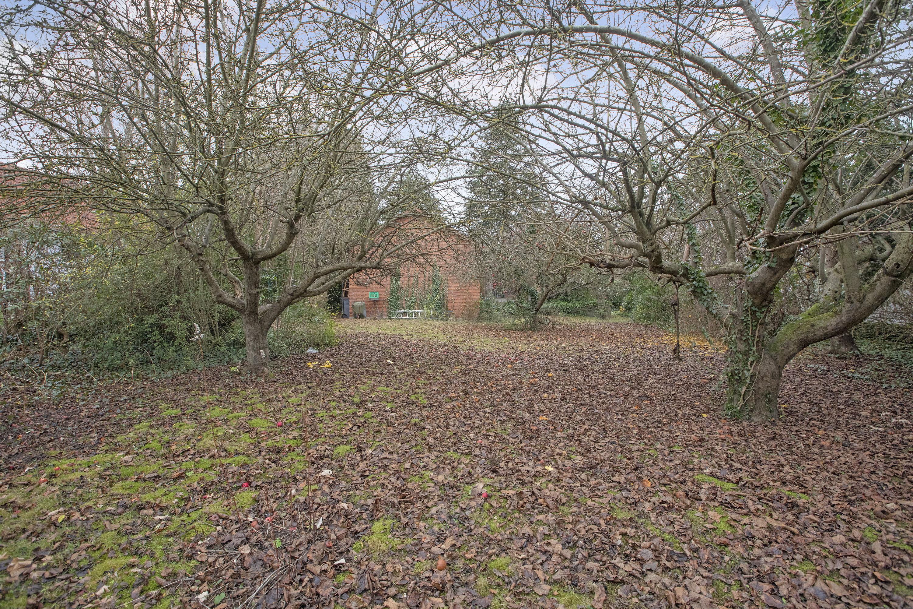 Fremhævet have billede i fuldskærmstilstand. Billede af Jyttevej 19, 2740 Skovlunde