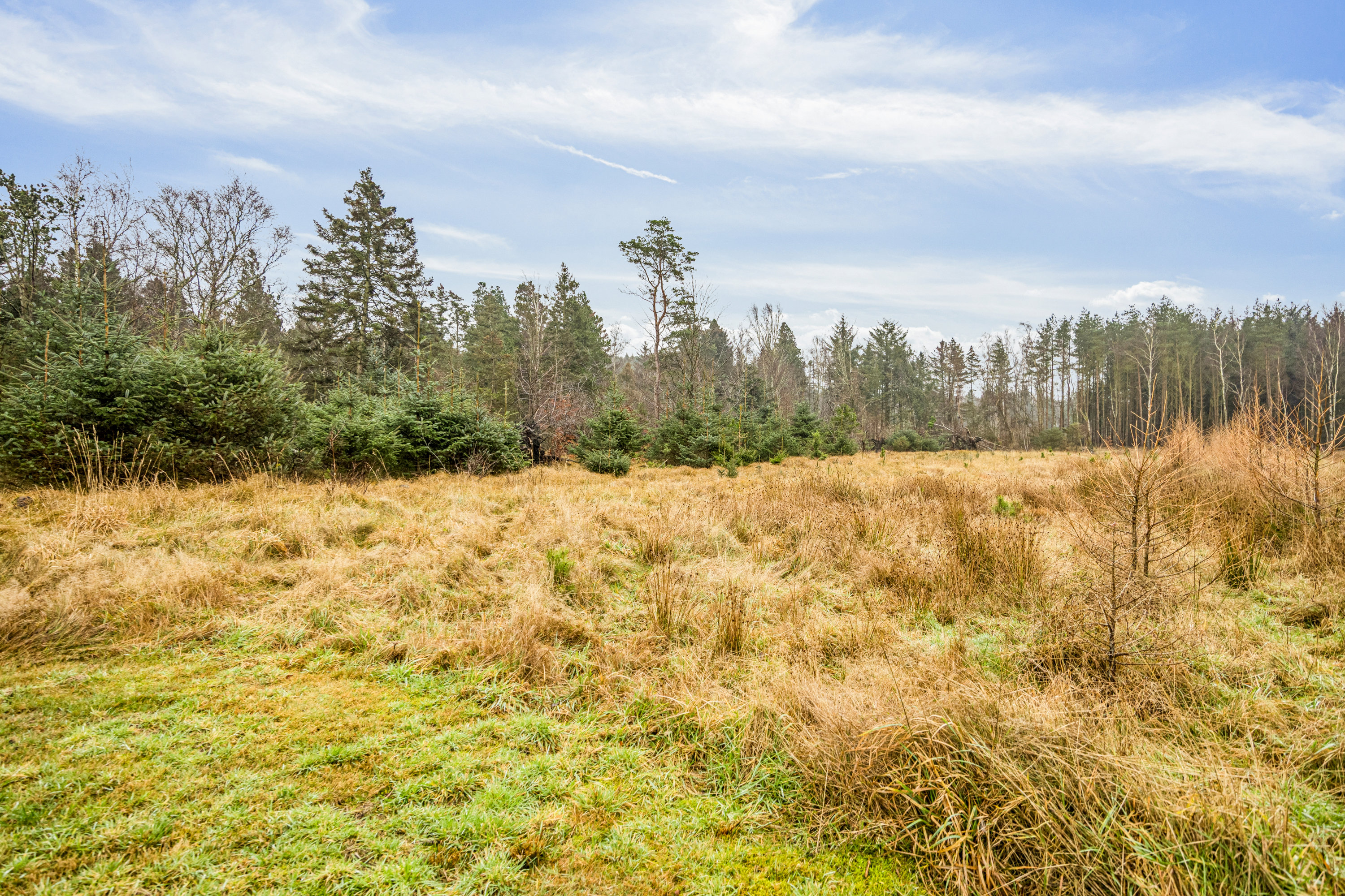 Fremhævet grund billede i fuldskærmstilstand. Billede af Strandvejen 52, Tranum, 9460 Brovst