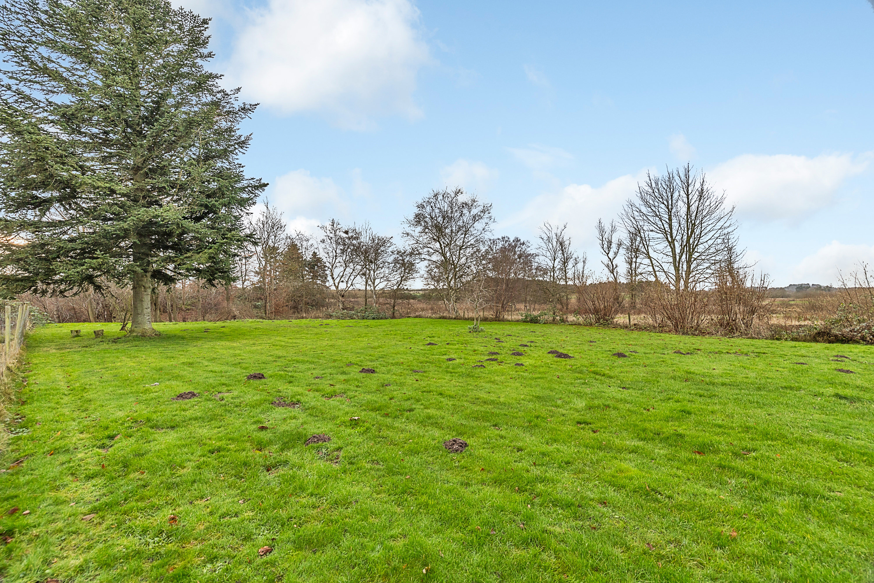 Miniaturebillede 1: have. Billede af Fåborgvej 18, Nr Broby, 5672 Broby