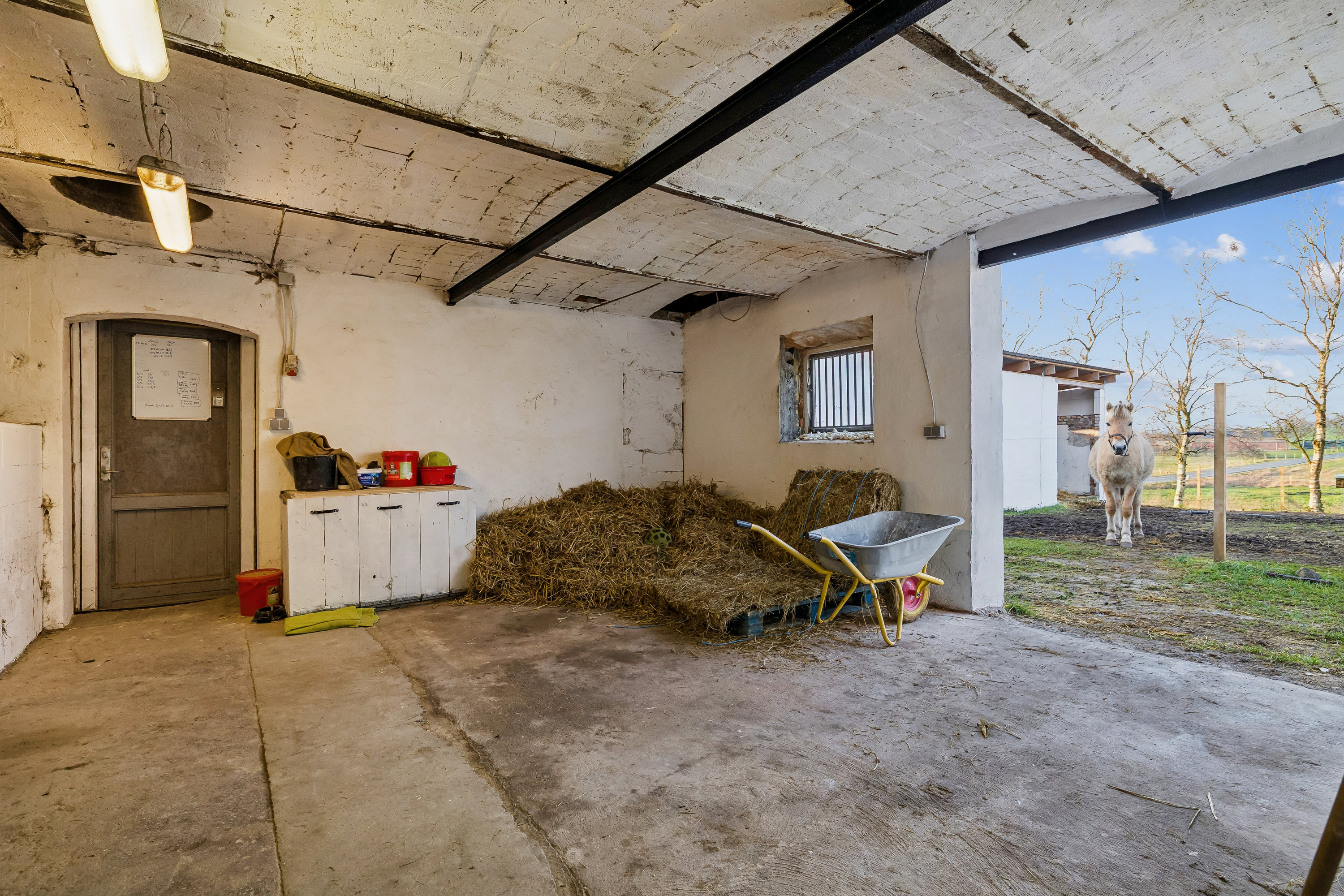 Fremhævet stald billede i fuldskærmstilstand. Billede af Korupvej 35, Veddum, 9560 Hadsund