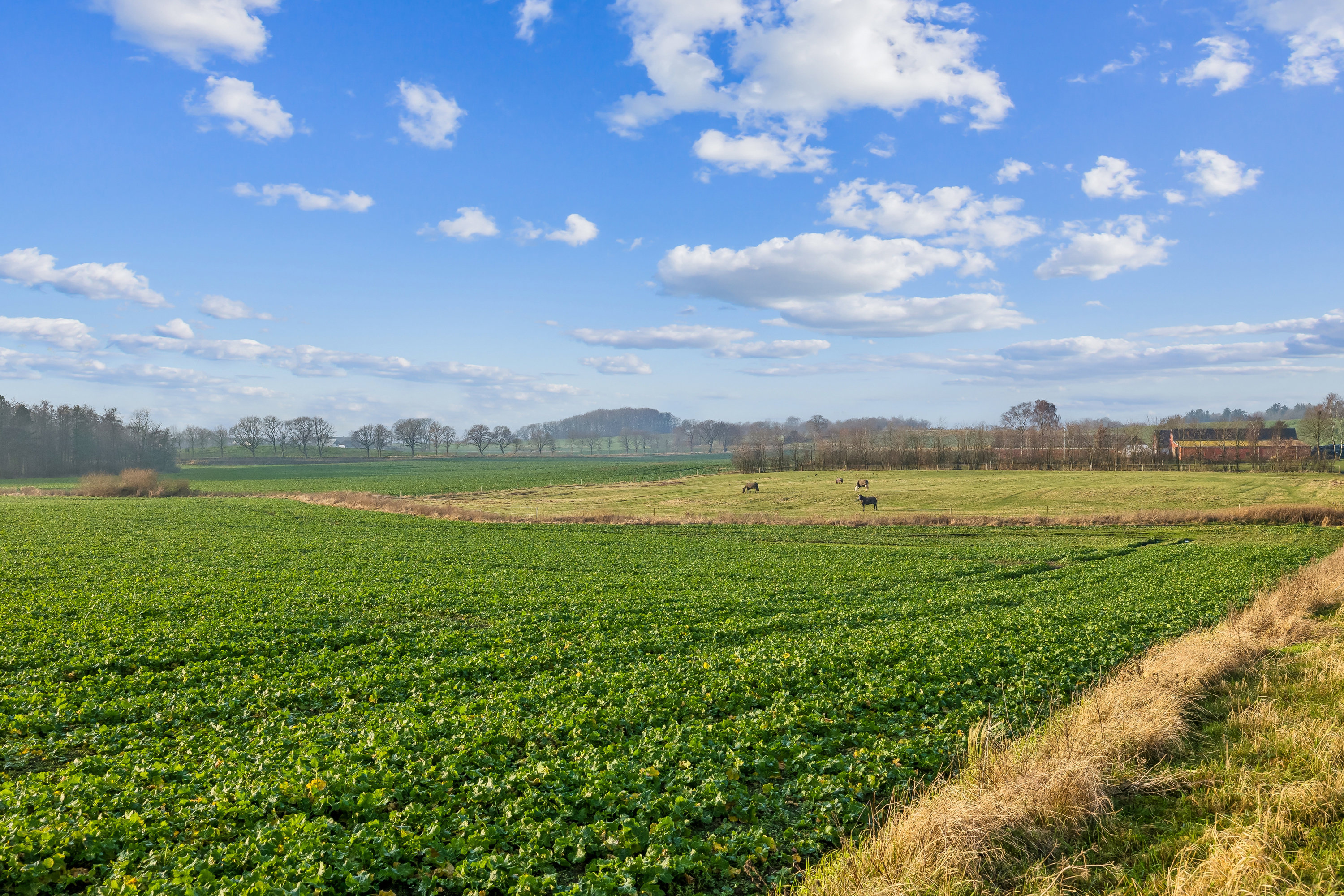 Fremhævet andet billede i fuldskærmstilstand. Billede af Korupvej 35, Veddum, 9560 Hadsund