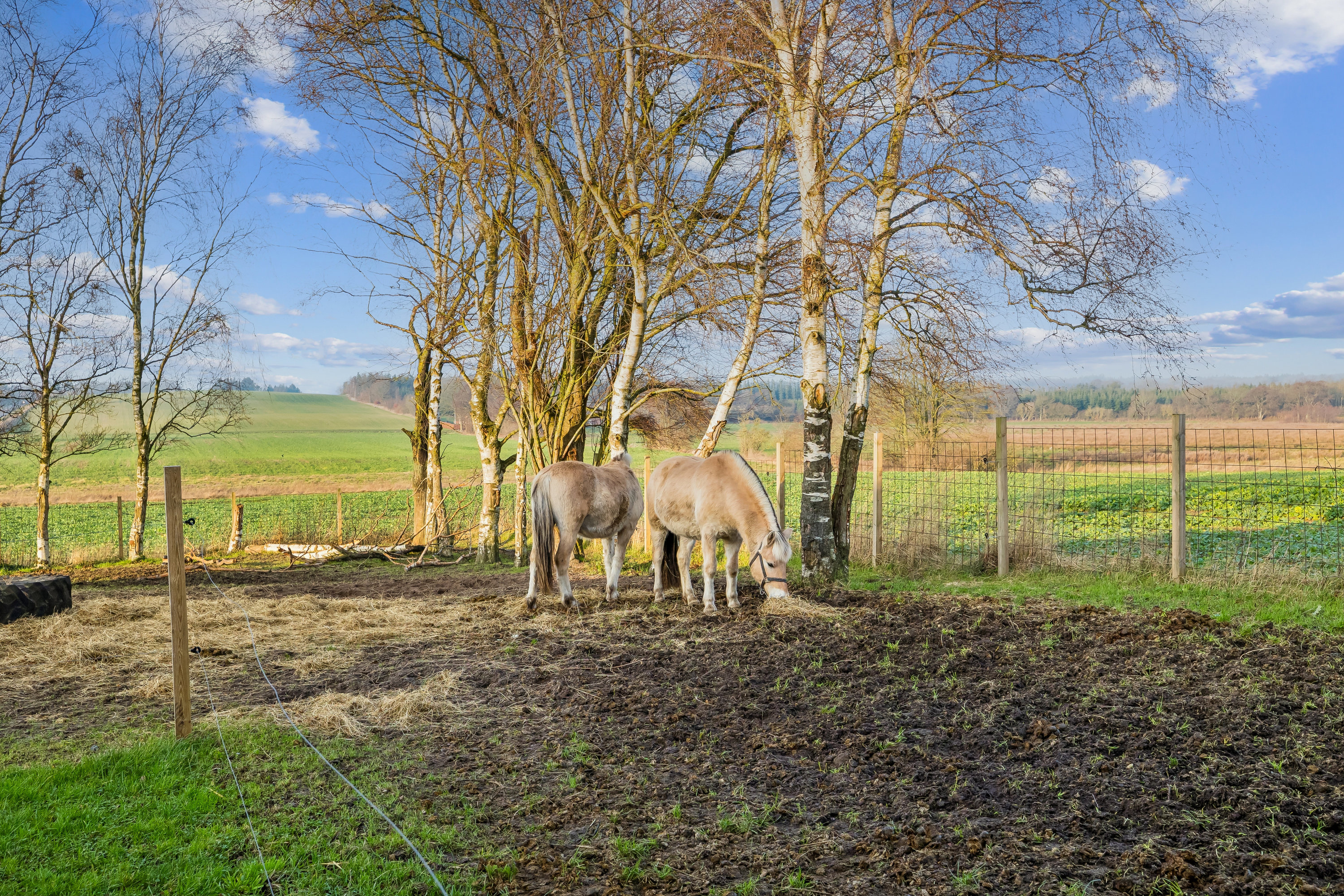 Miniaturebillede 1: andet. Billede af Korupvej 35, Veddum, 9560 Hadsund