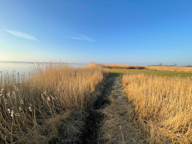 Fremhævet  billede i fuldskærmstilstand. Billede af Dyssevej 4, Bognæs, 4300 Holbæk