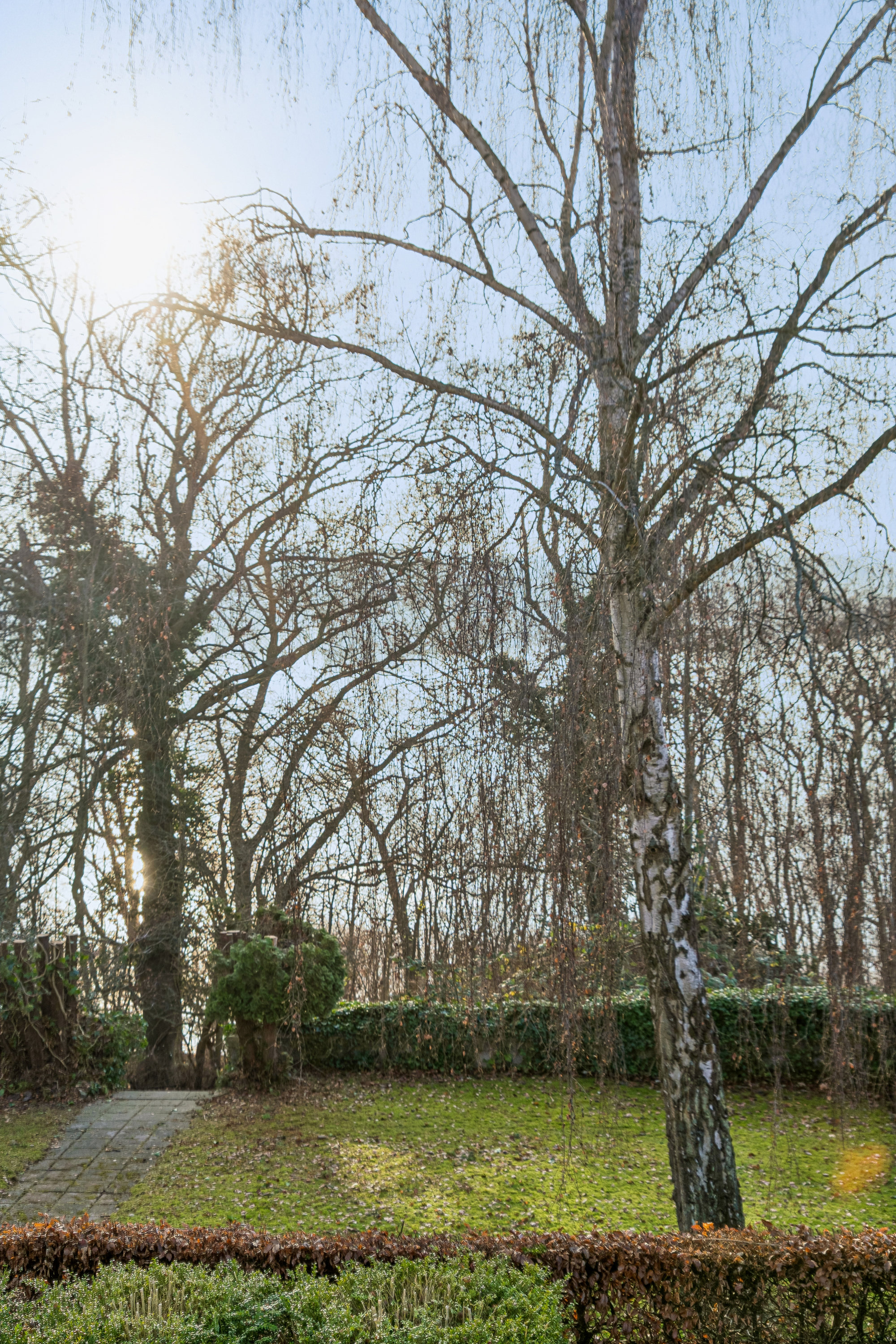 Fremhævet have billede i fuldskærmstilstand. Billede af Søndersøvej 49, 3500 Værløse