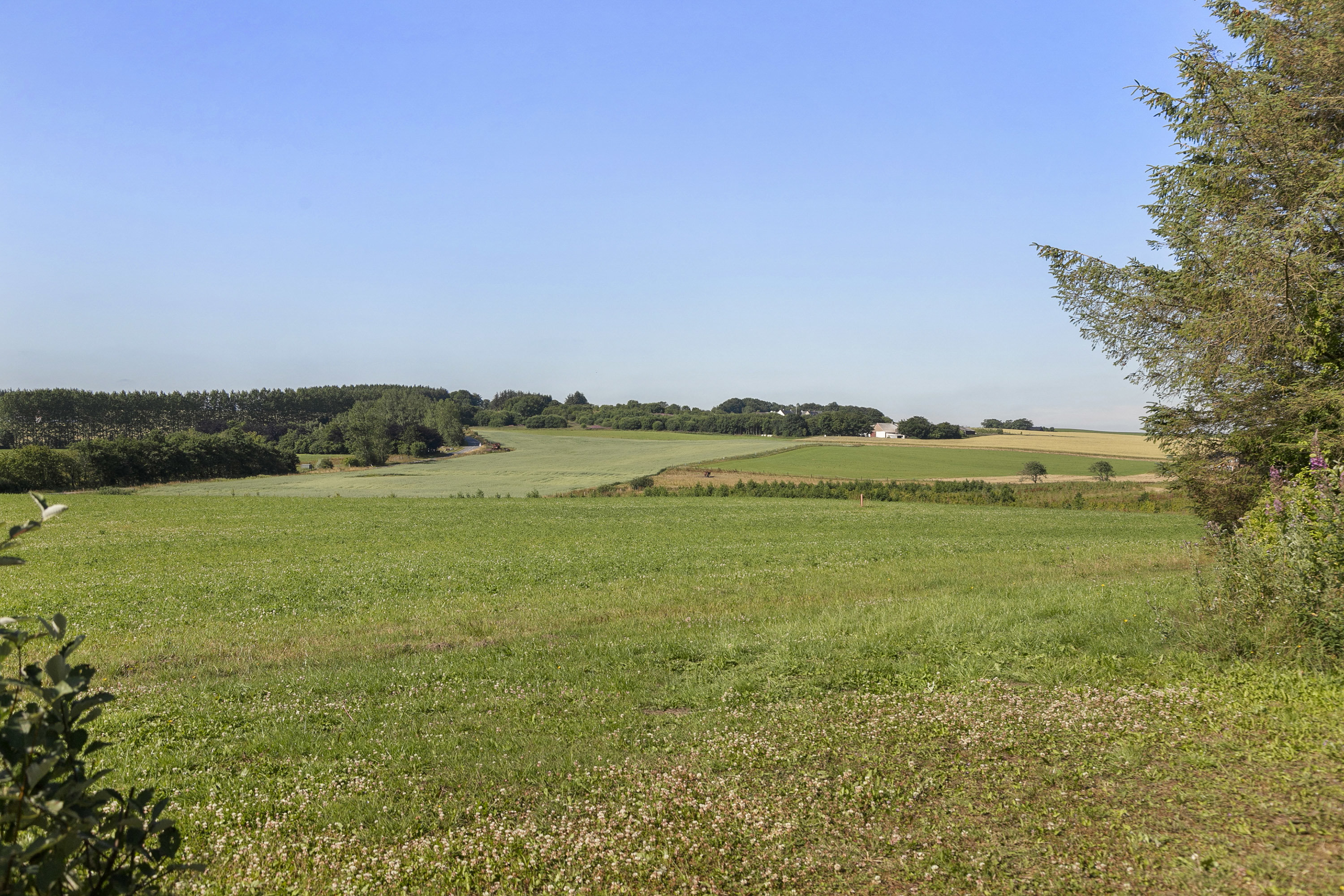 Fremhævet omgivelser billede i fuldskærmstilstand. Billede af Myhlenbergvej 74, 9510 Arden