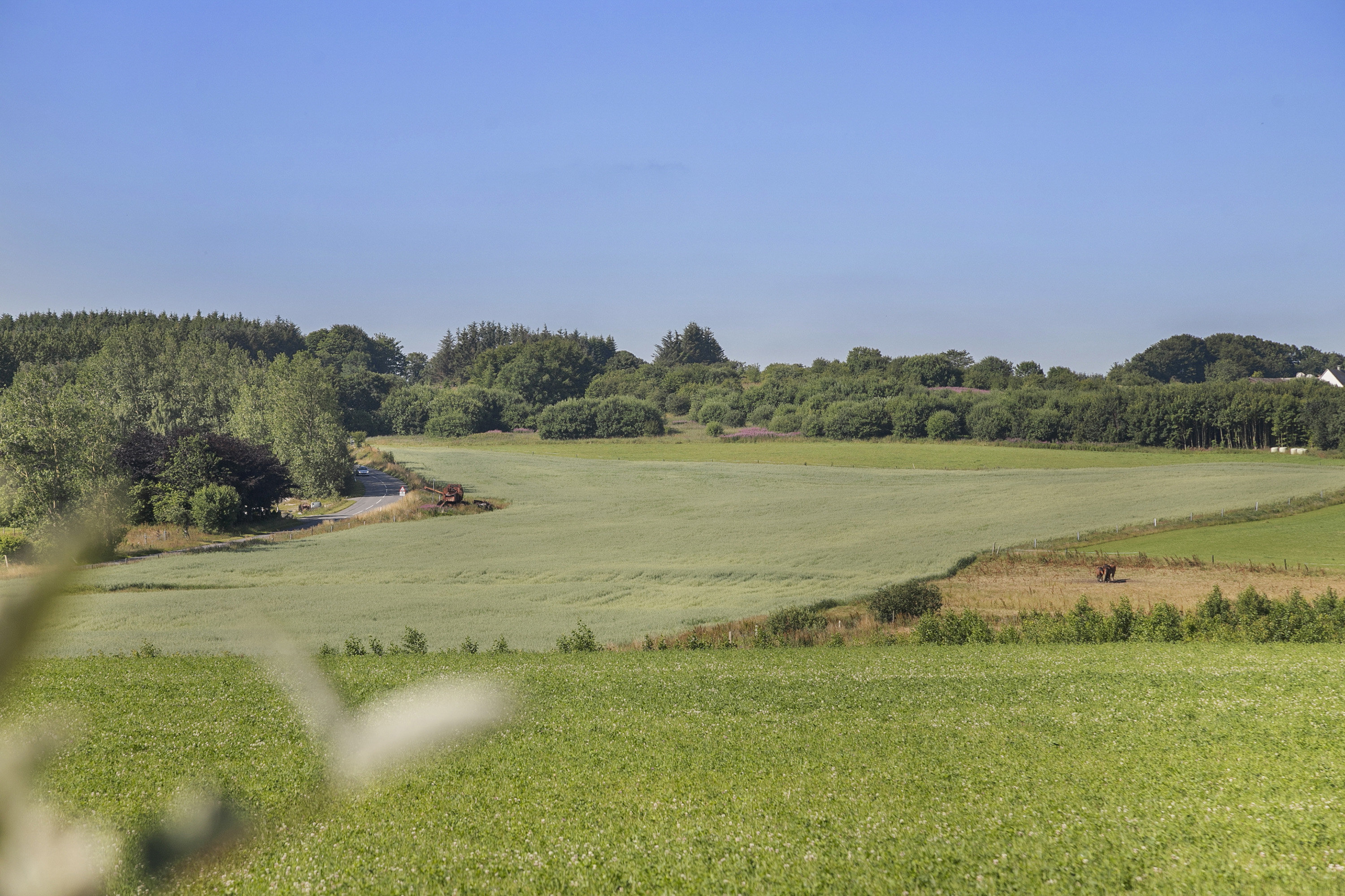 Fremhævet udsigt billede i fuldskærmstilstand. Billede af Myhlenbergvej 74, 9510 Arden