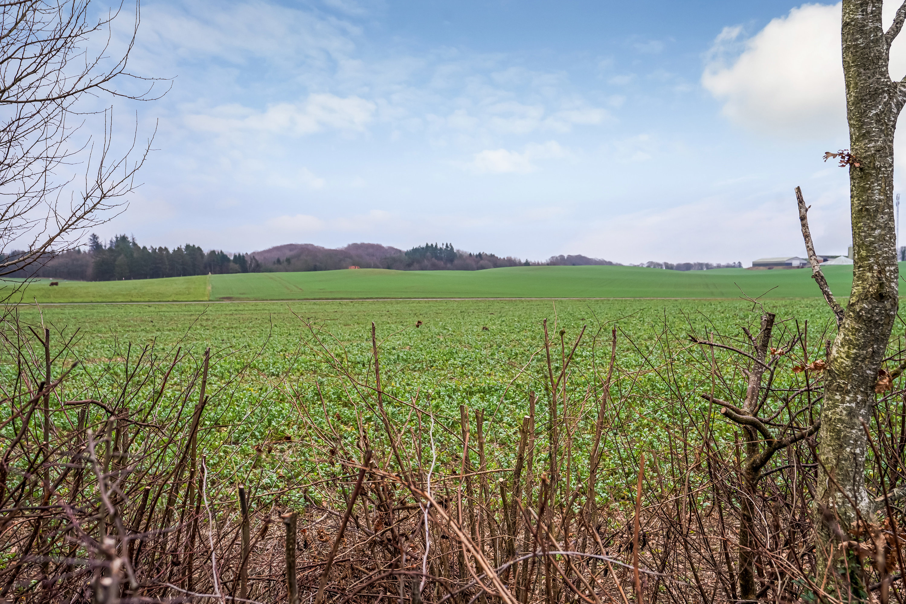 Fremhævet område billede i fuldskærmstilstand. Billede af Granvangen 19, Sdr Vissing, 8740 Brædstrup