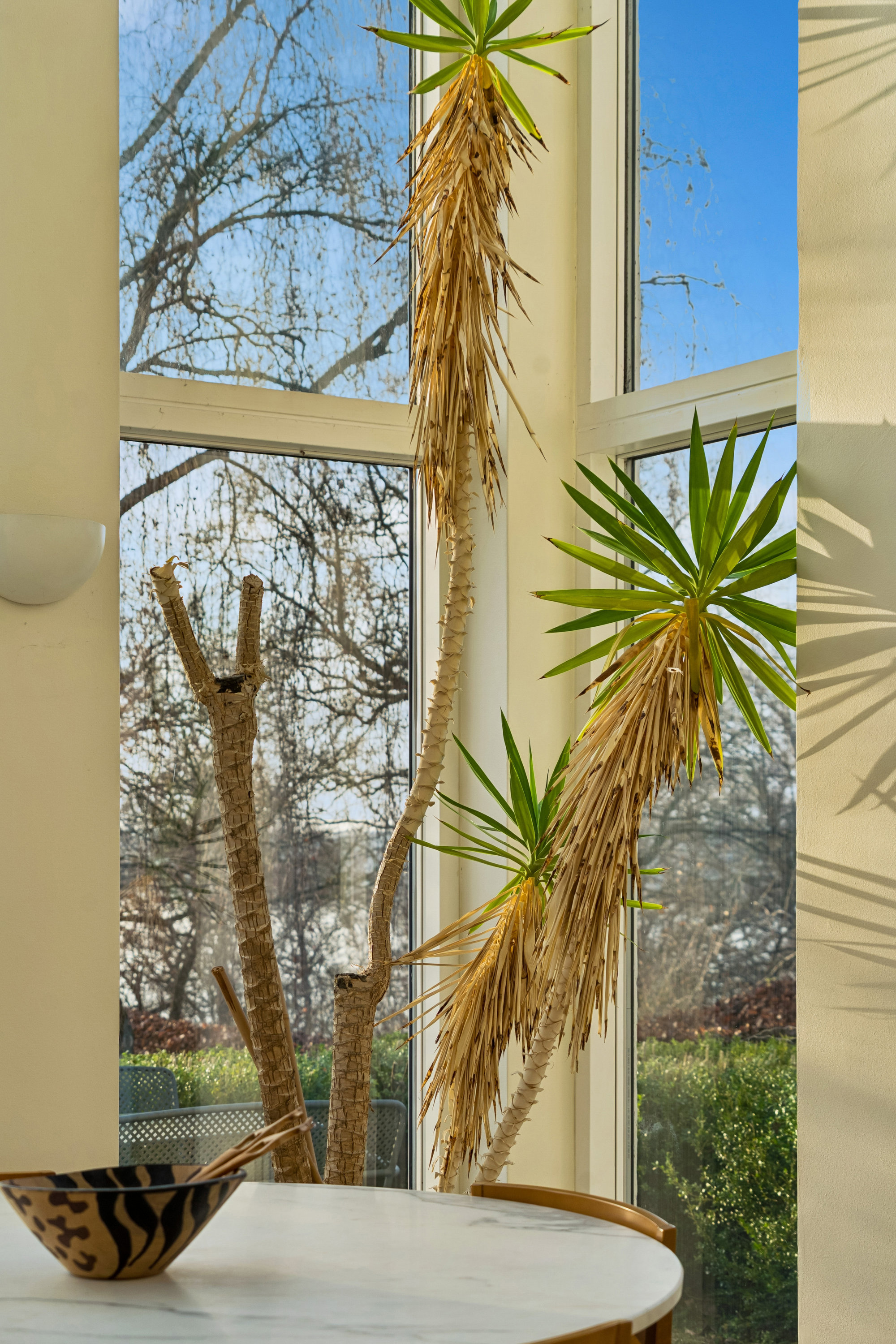 Fremhævet andet billede i fuldskærmstilstand. Billede af Søndersøvej 49, 3500 Værløse