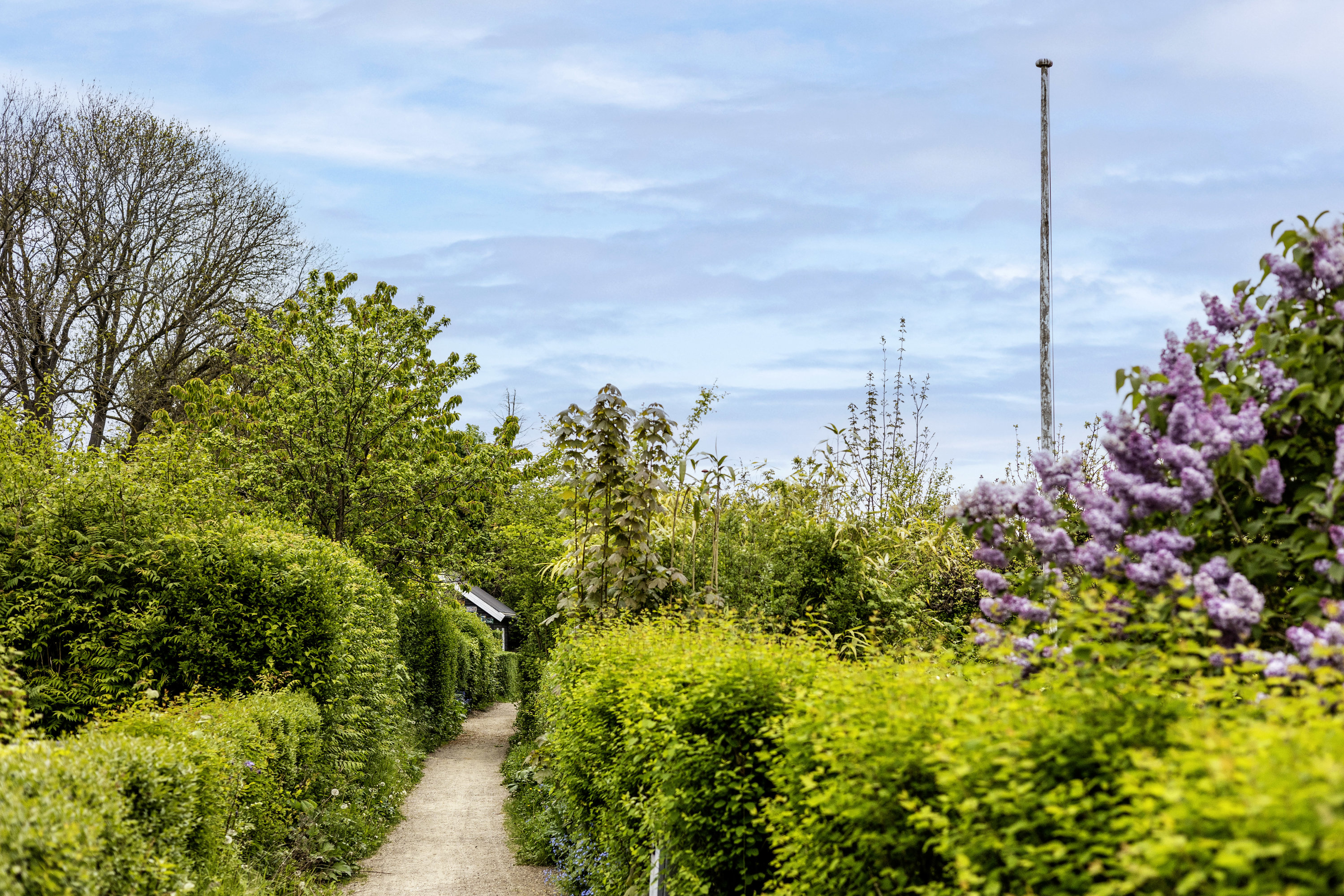 Fremhævet  billede i fuldskærmstilstand. Billede af Hf. Grænsen 2, 2000 Frederiksberg