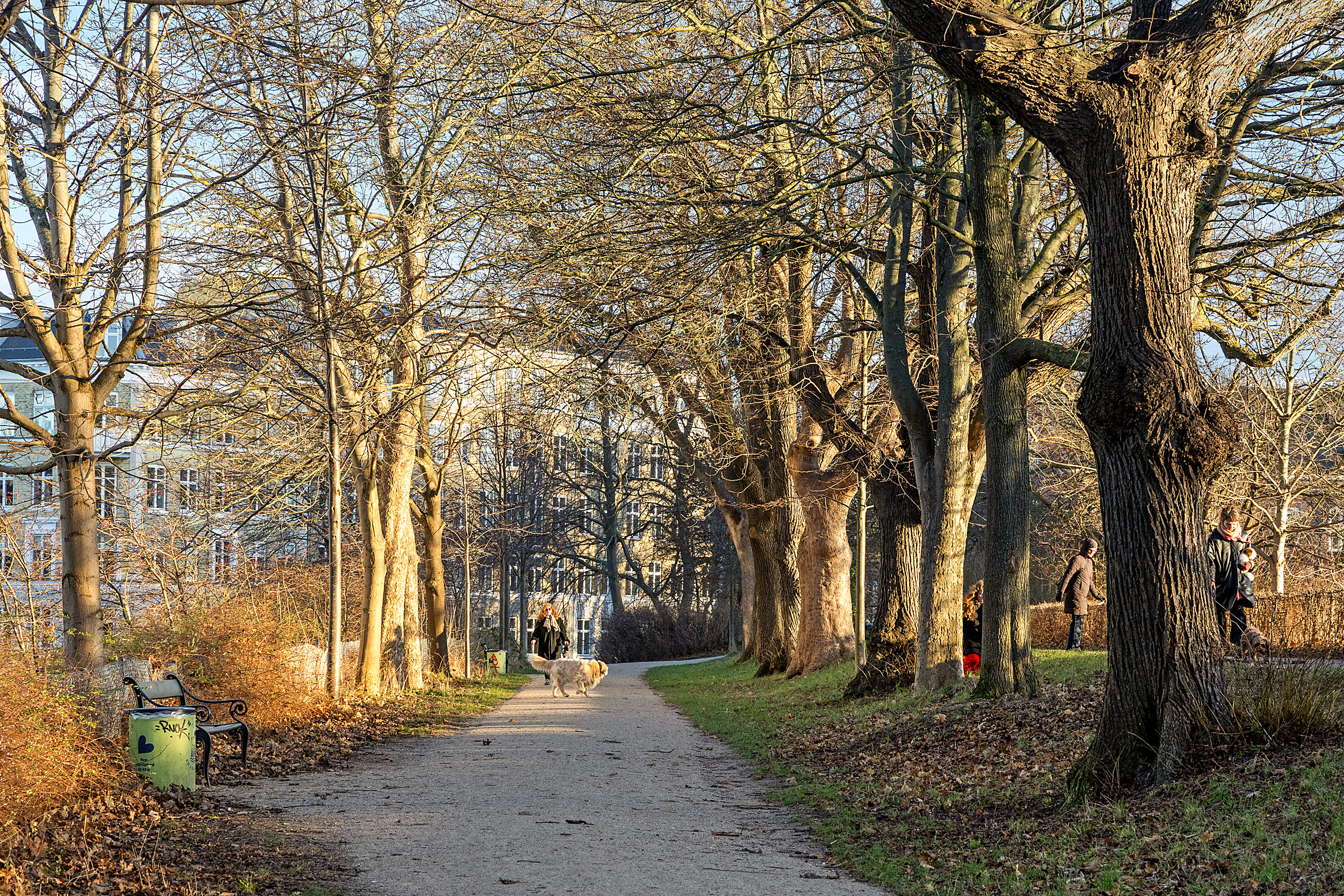 Fremhævet område billede i fuldskærmstilstand. Billede af Langebrogade 8, 2., 1411 København K