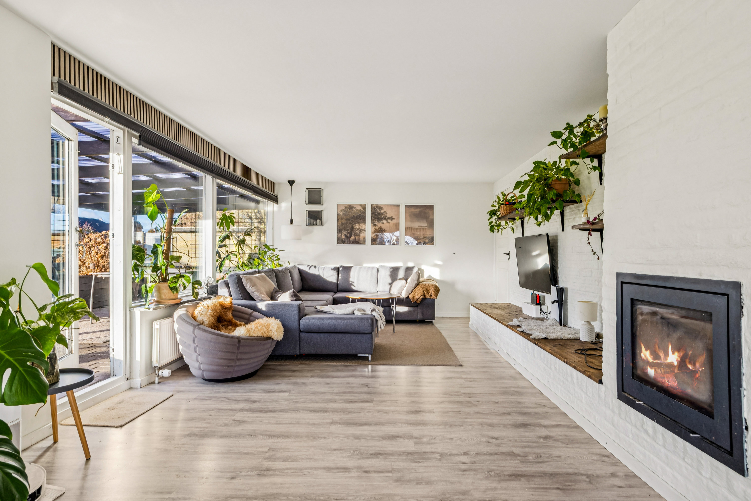 Fremhævet stue billede i fuldskærmstilstand. Billede af Birkedalsvej 17, Slimminge, 4100 Ringsted